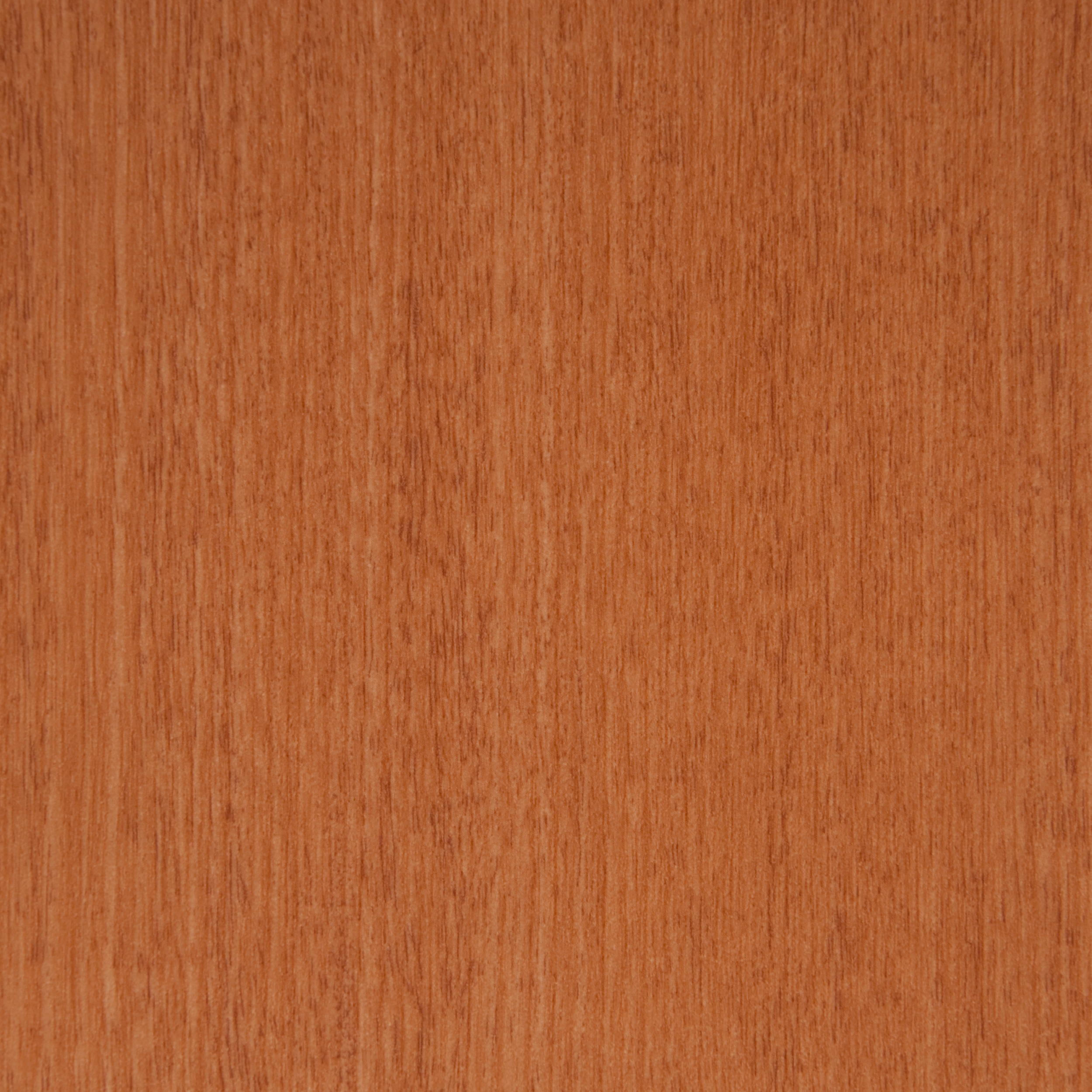 Display product 3M™ DI-NOC™ Architectural Finish Fine Wood FW-234 from manufacturer 3M