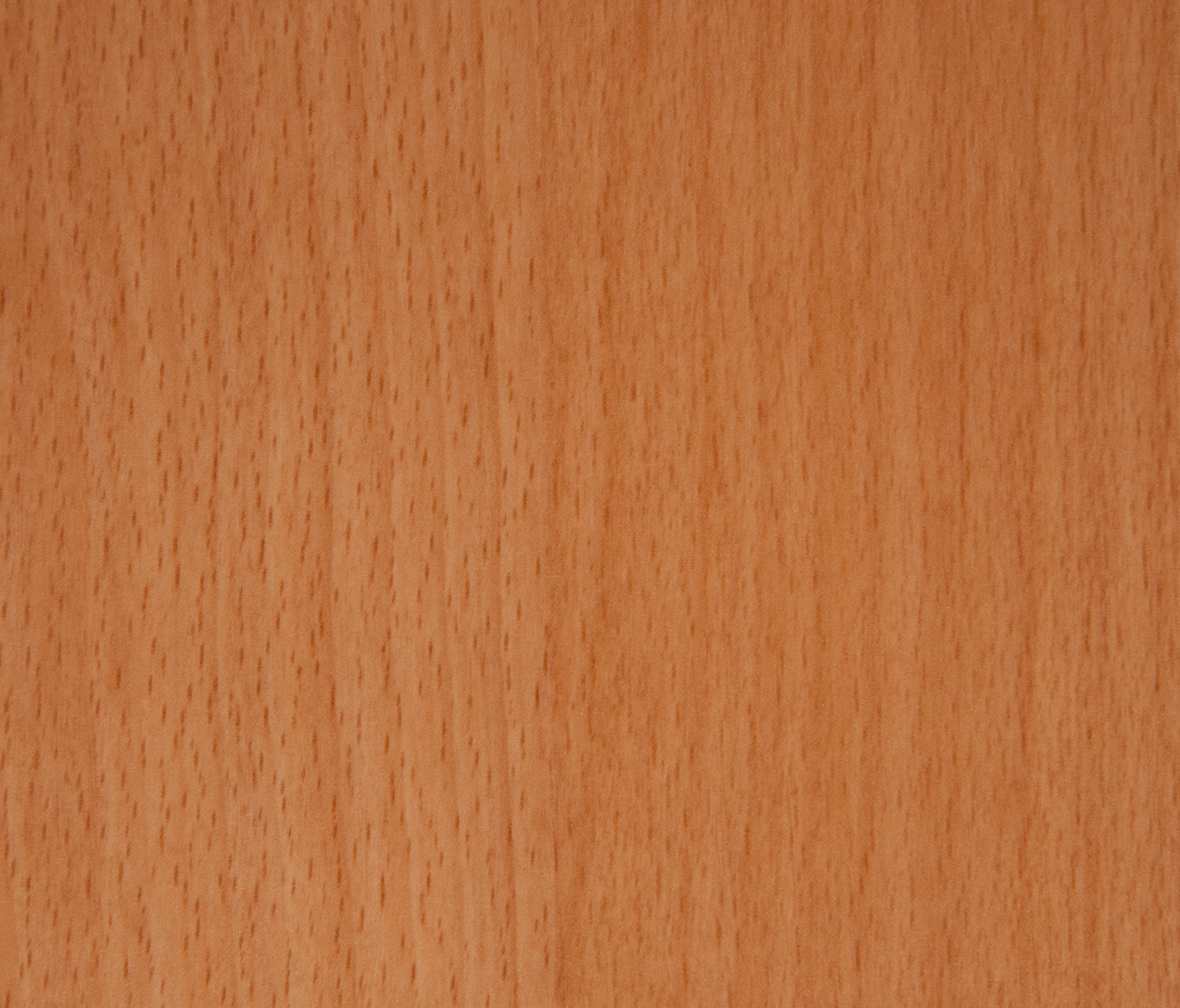 gallery-slide-0