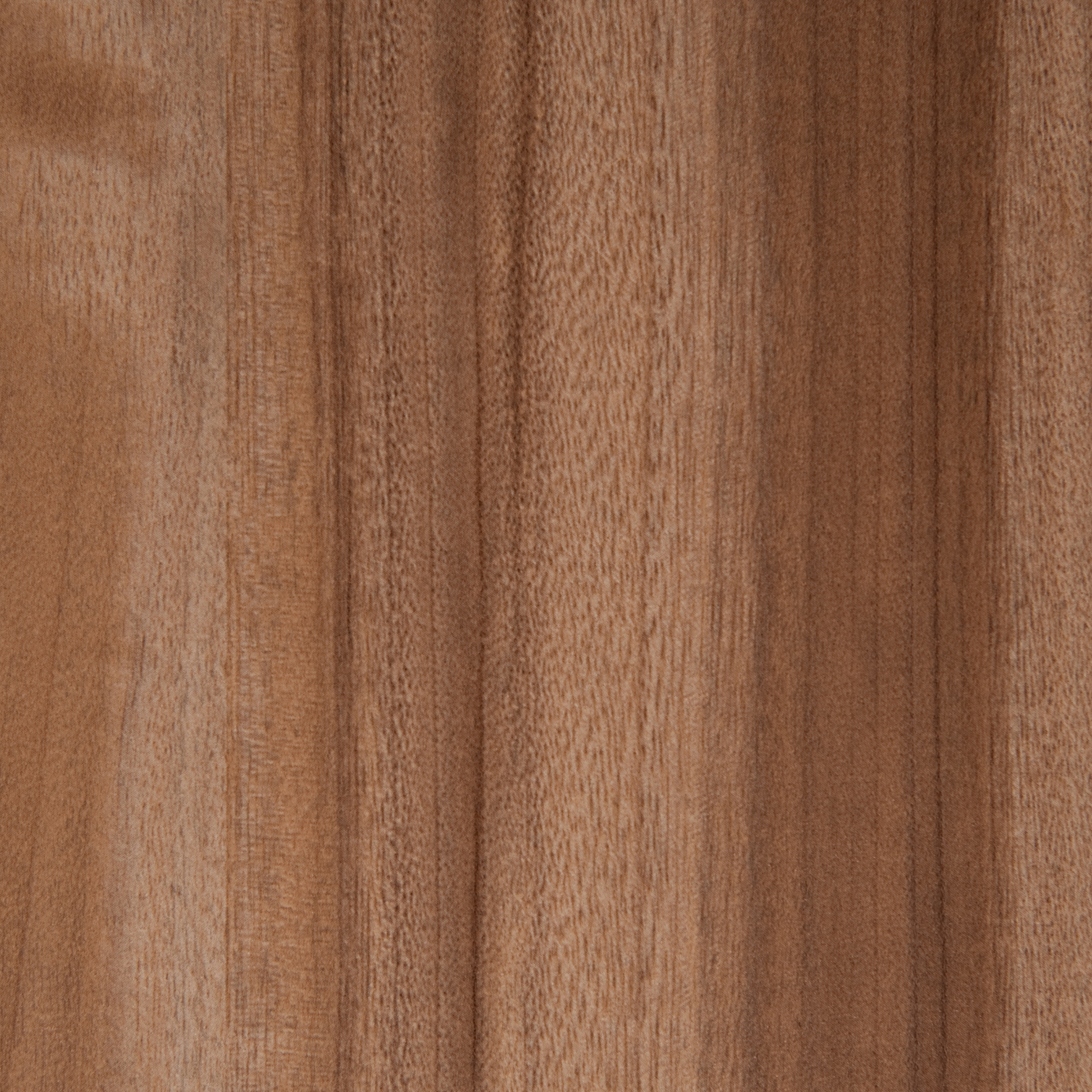 Produkt 3M™ DI-NOC™ Architectural Finish Fine Wood FW-7011 des Herstellers 3M anzeigen