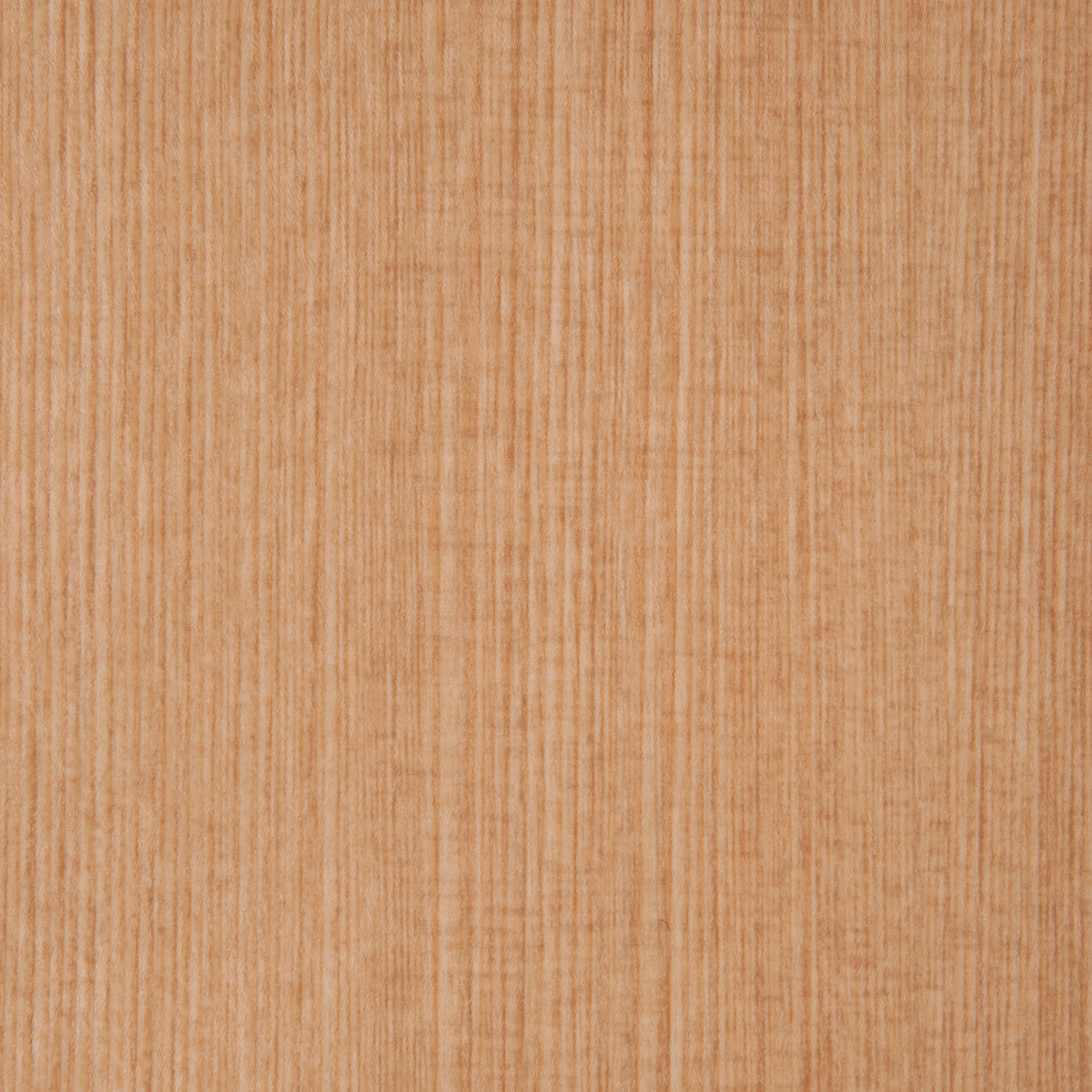 Mostra il prodotto 3M™ DI-NOC™ Architectural Finish Wood Grain, WG-453 del produttore 3M