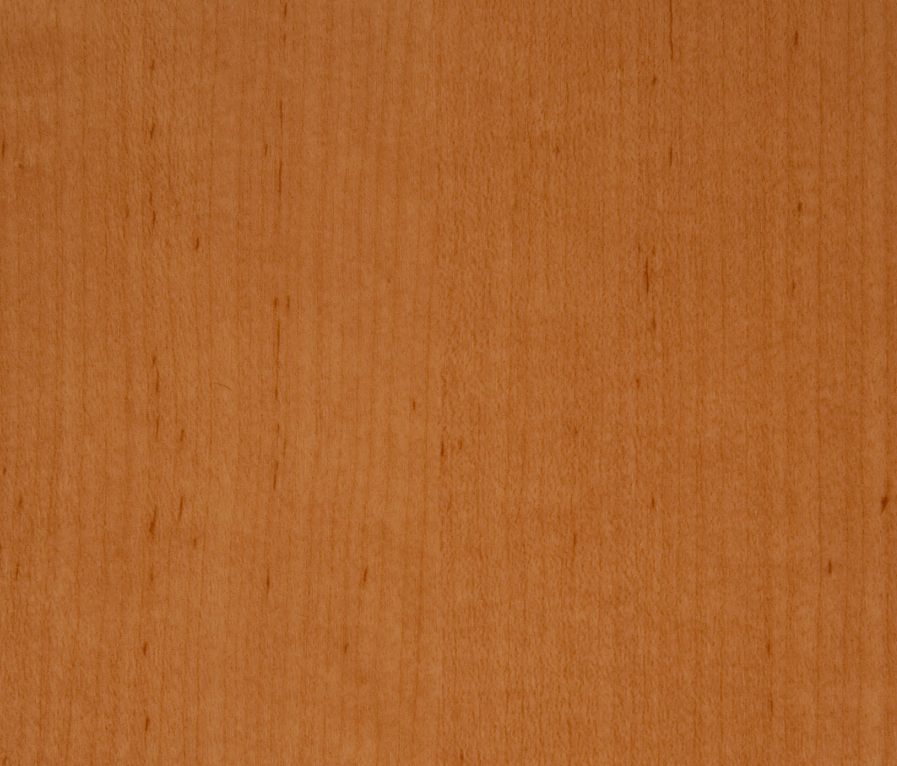 3M - 3M™ DI-NOC™ Architectural Finish Wood Grain, WG-831