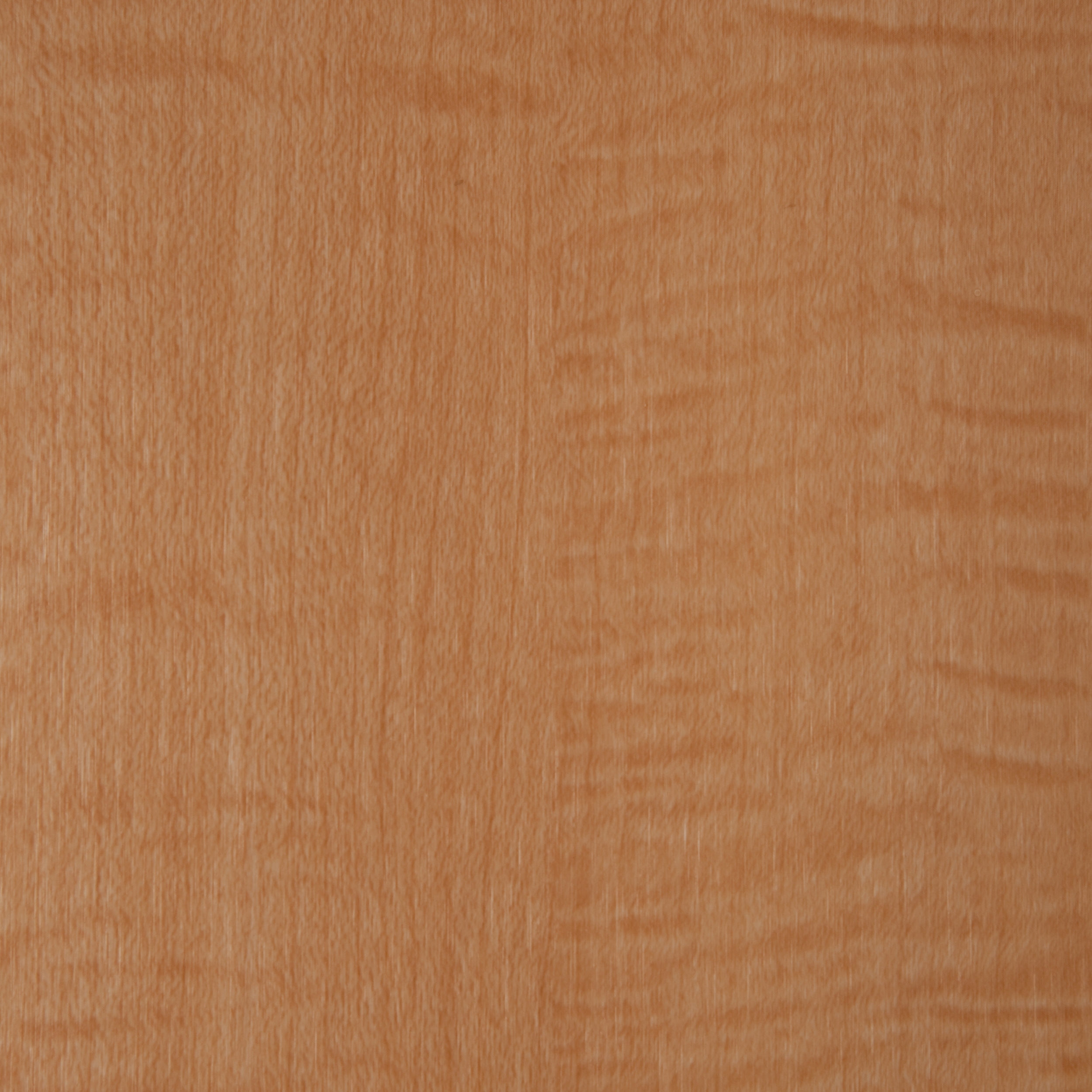Mostra il prodotto 3M™ DI-NOC™ Architectural Finish Wood Grain, WG-832 del produttore 3M