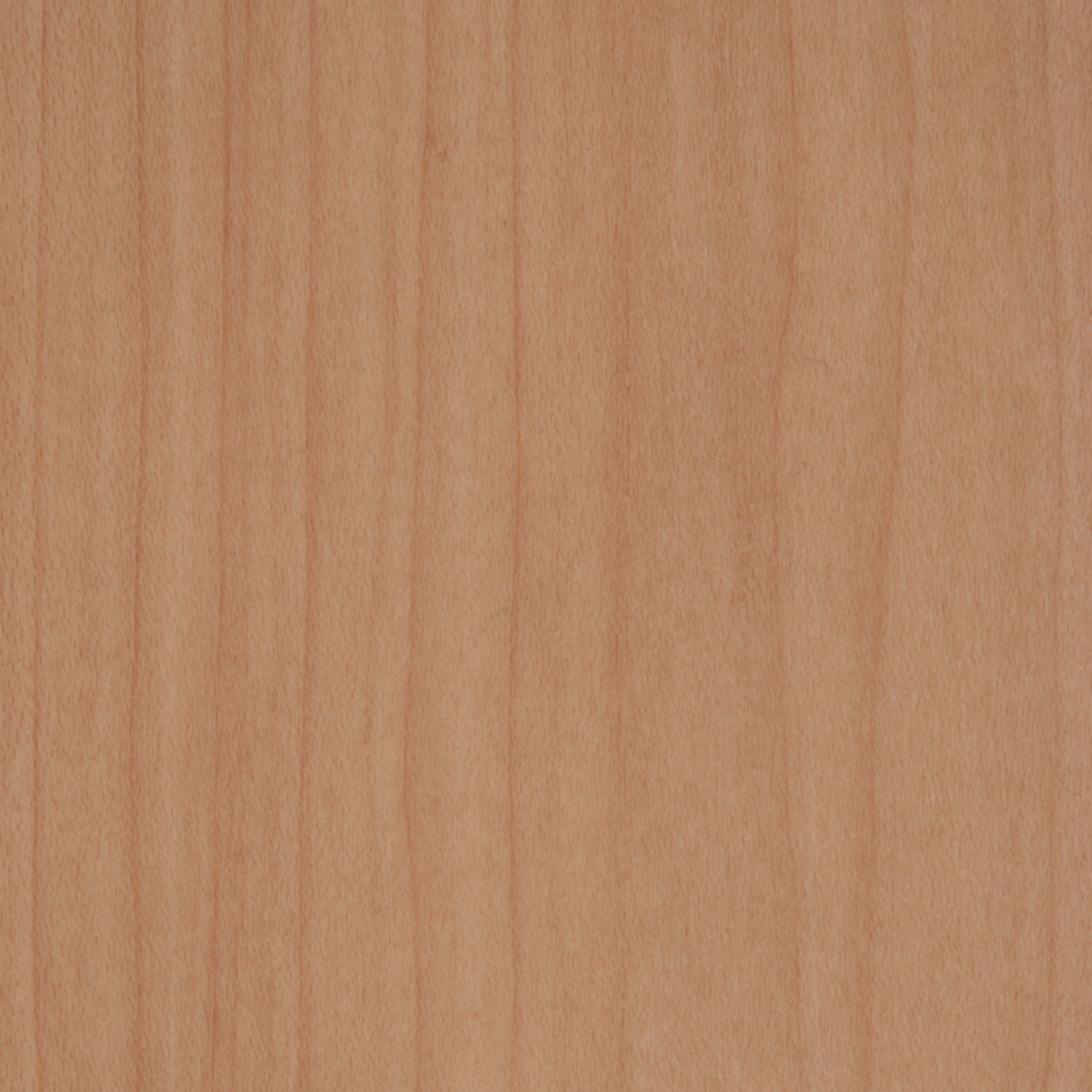 Display product 3M™ DI-NOC™ Architectural Finish Wood Grain, WG-835 from manufacturer 3M