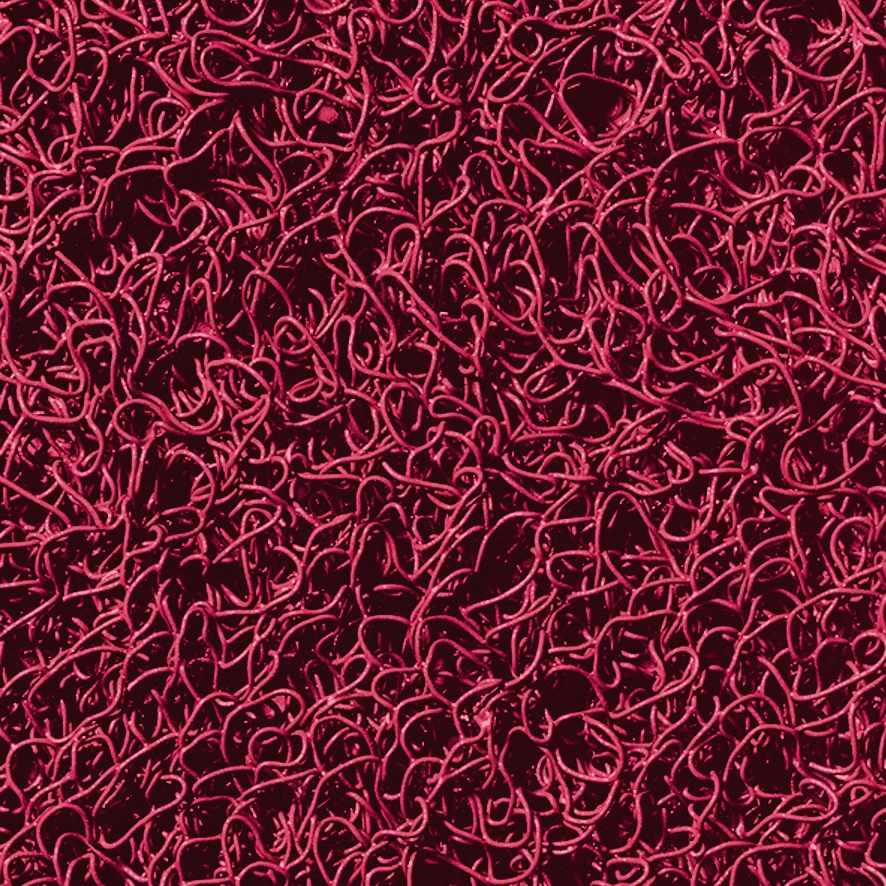 Mostrar el producto 3M™ Nomad™ Terra 6050 del fabricante 3M