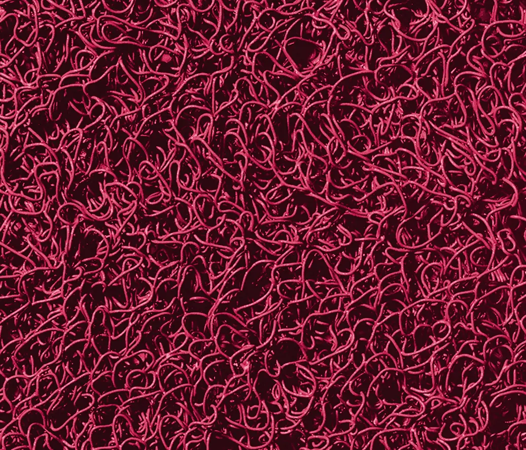 3M - 3M™ Nomad™ Terra 6050