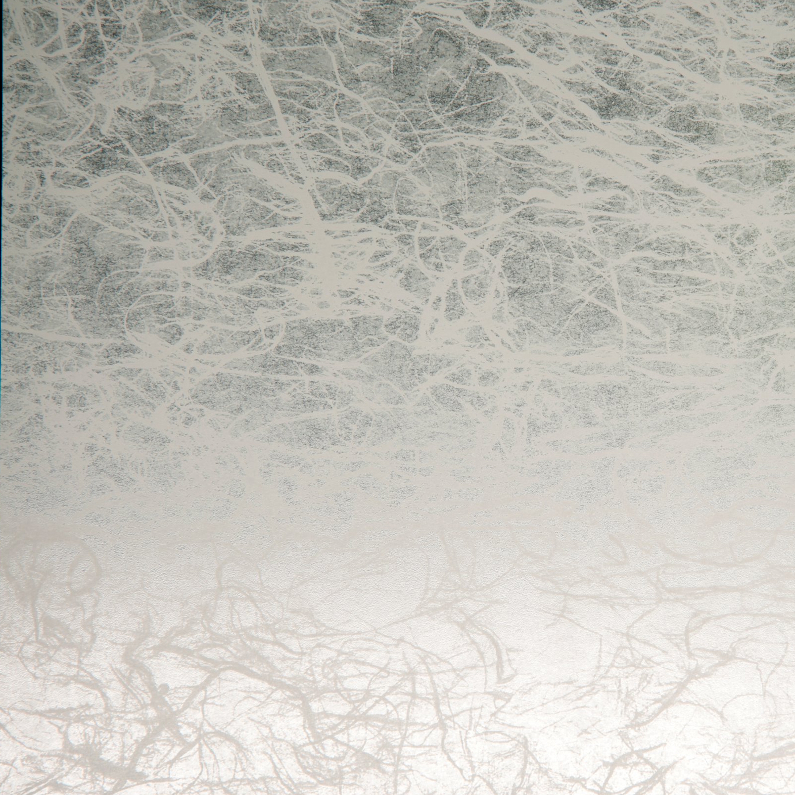Produkt 3M™ FASARA™ Glass Finish Fabric/Washi, SH2FGAT, Altair, 1270 mm x 30 m des Herstellers 3M anzeigen