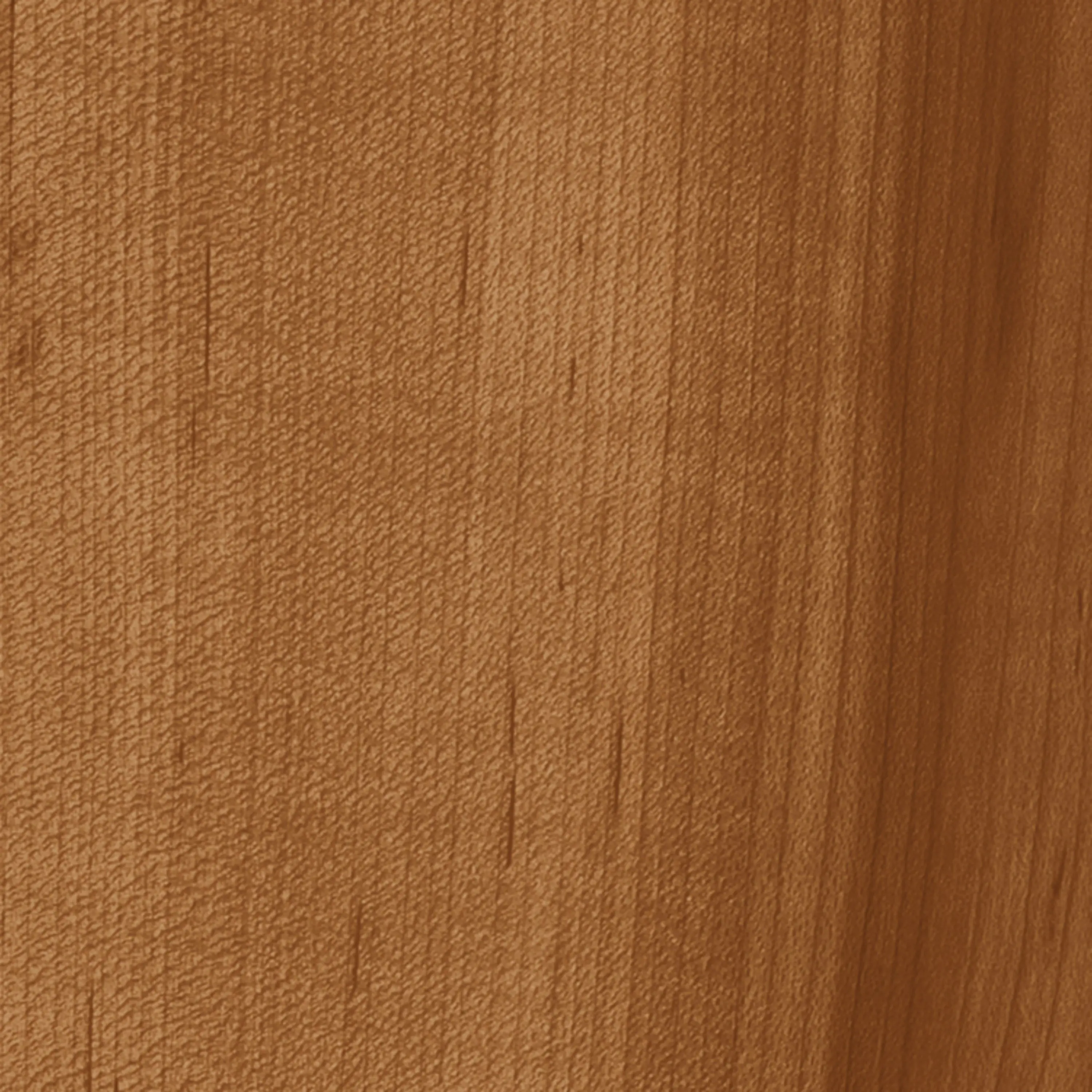 3M - 3M™ DI-NOC™ Architectural Finish Dry Wood, DW-1874MT, 1220 mm x 50 m