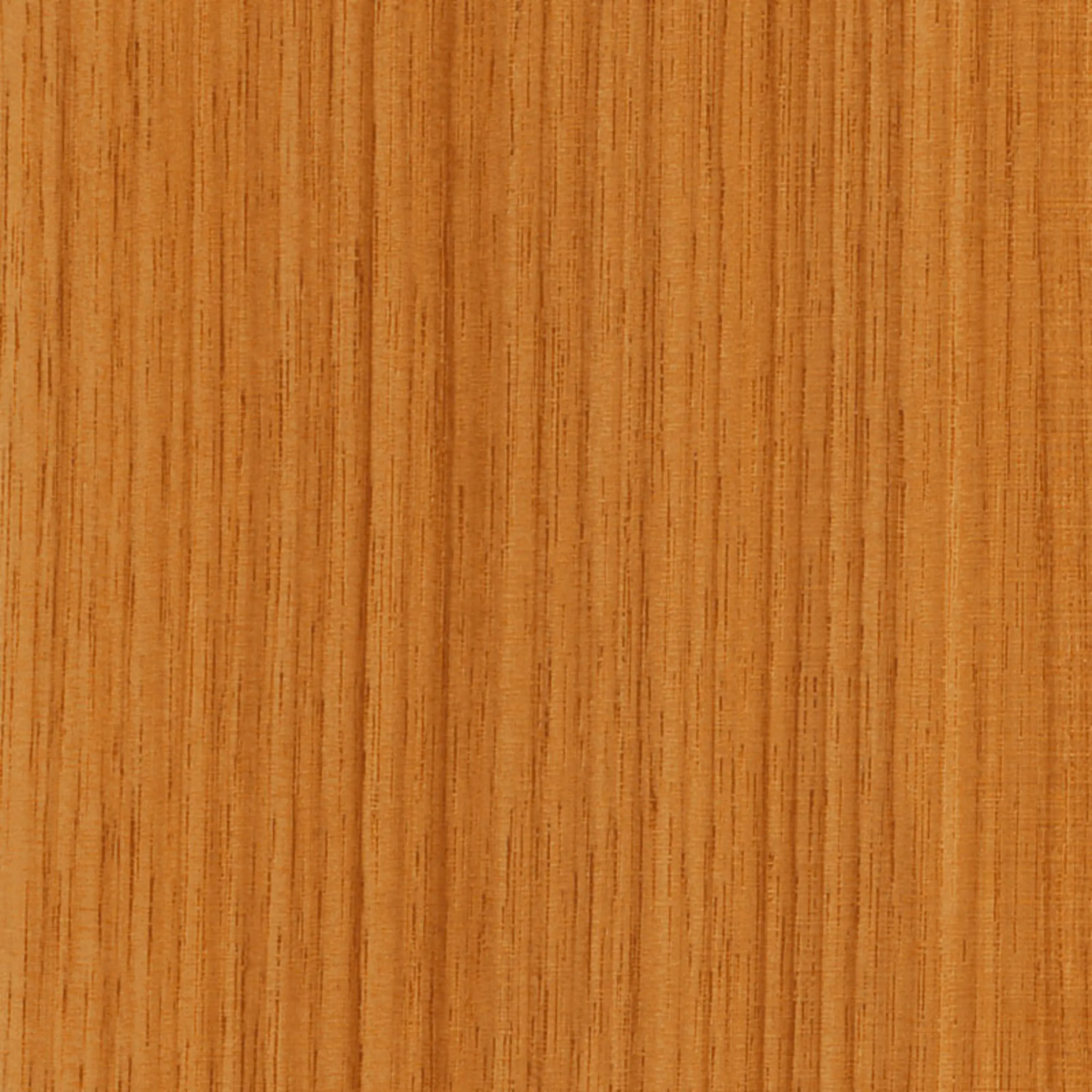 3M - 3M™ DI-NOC™ Architectural Finish Fine Wood, Exterior, FW-1123EX, 1220 mm x 50 m