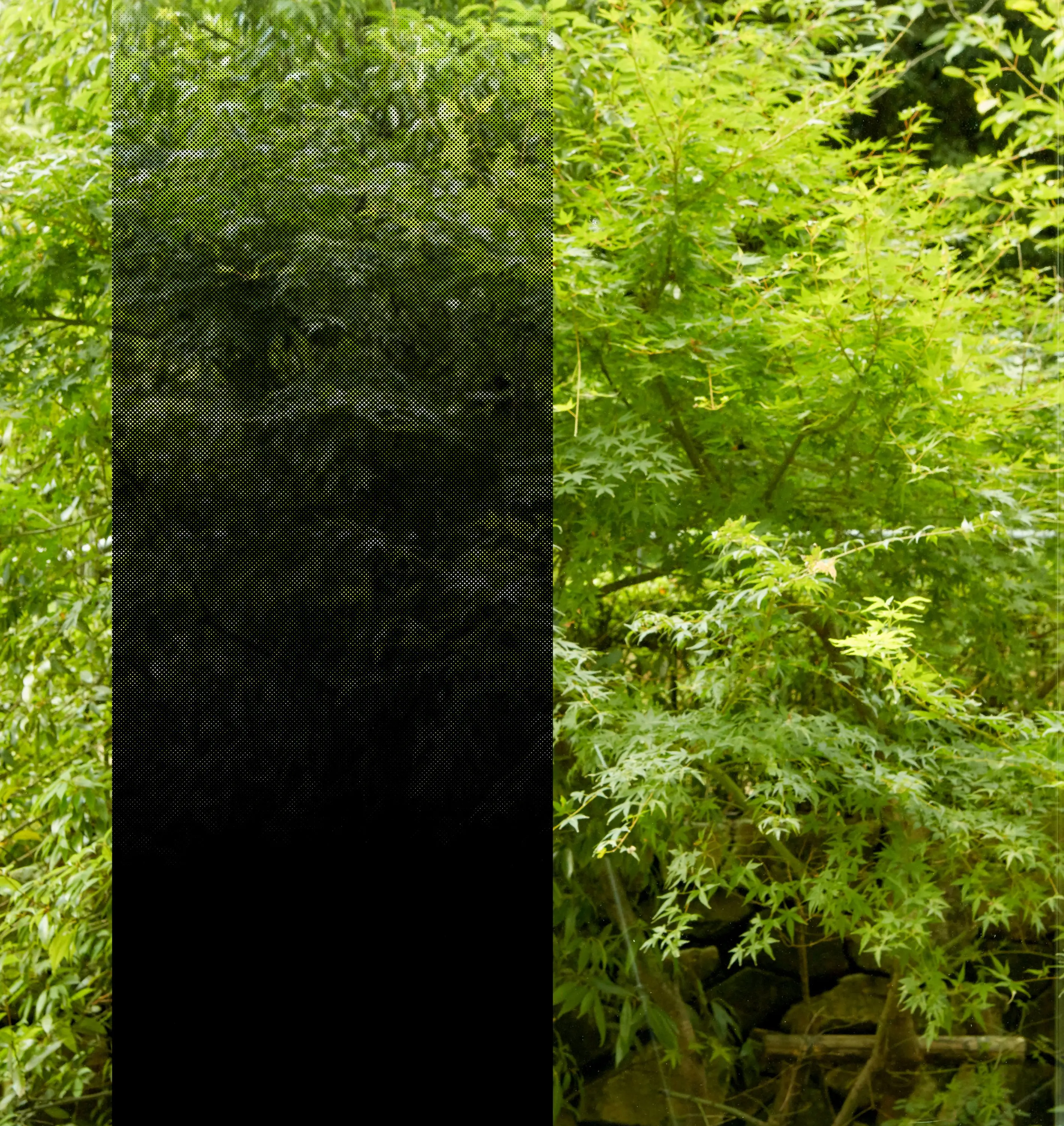 3M - 3M™ FASARA™ Glass Finish Gradation, SH2BKIM, Ilumina Black, 1270 mm x 30 m