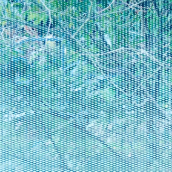 Display product 3M™ FASARA™ Glass Finish Gradation, SH2FGDM, Diamond, 1270 mm x 30 m from manufacturer 3M