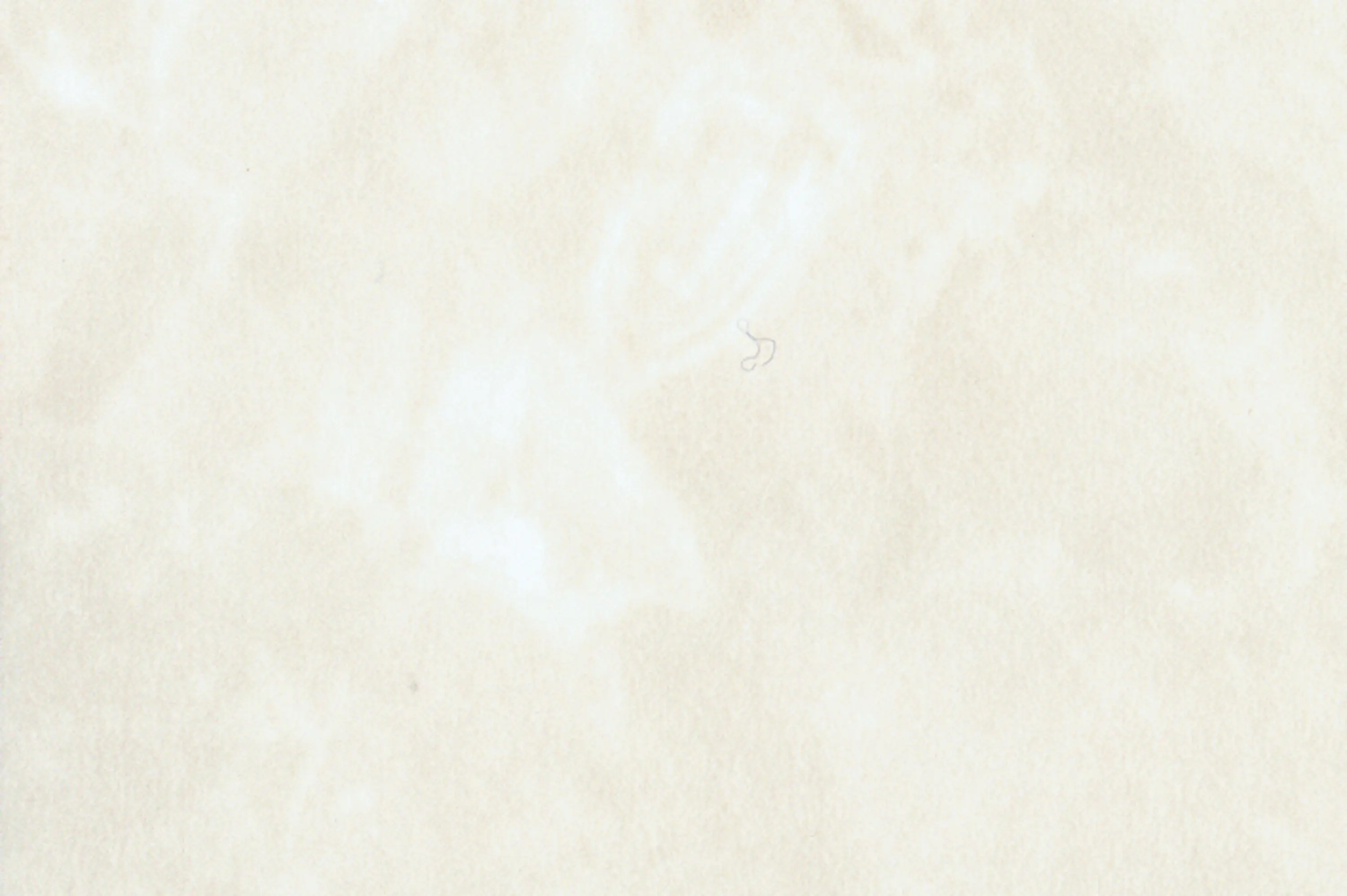 3M - 3M™ DI-NOC™ Architectural Finish Stone, Exterior, ST-736 EX, 1220 mm x 50 m