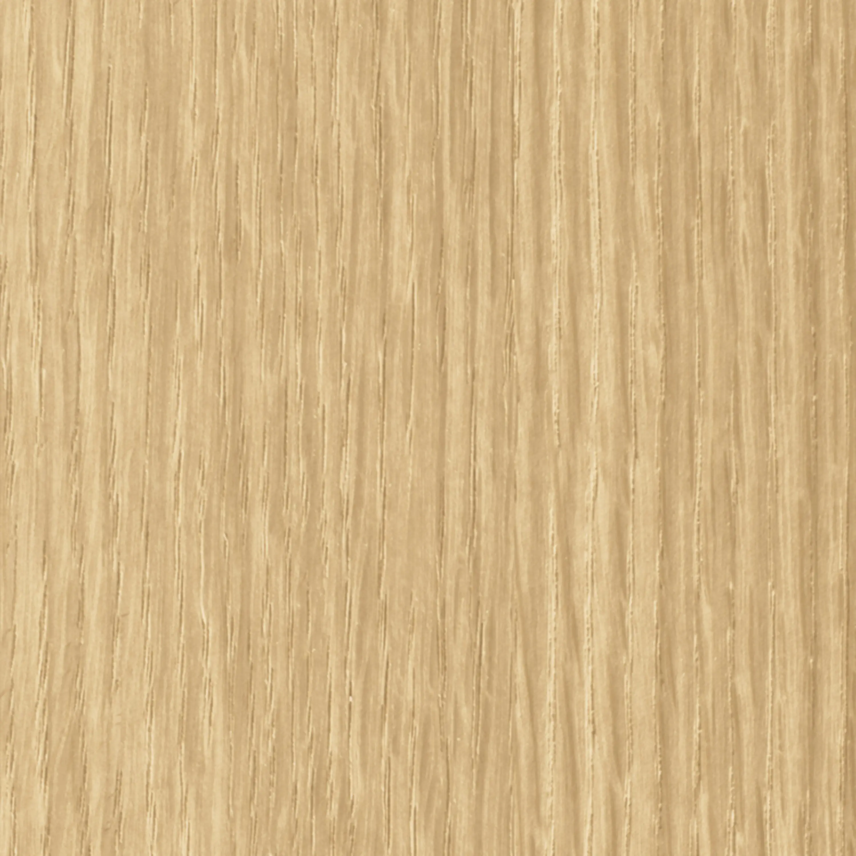 gallery-slide-0