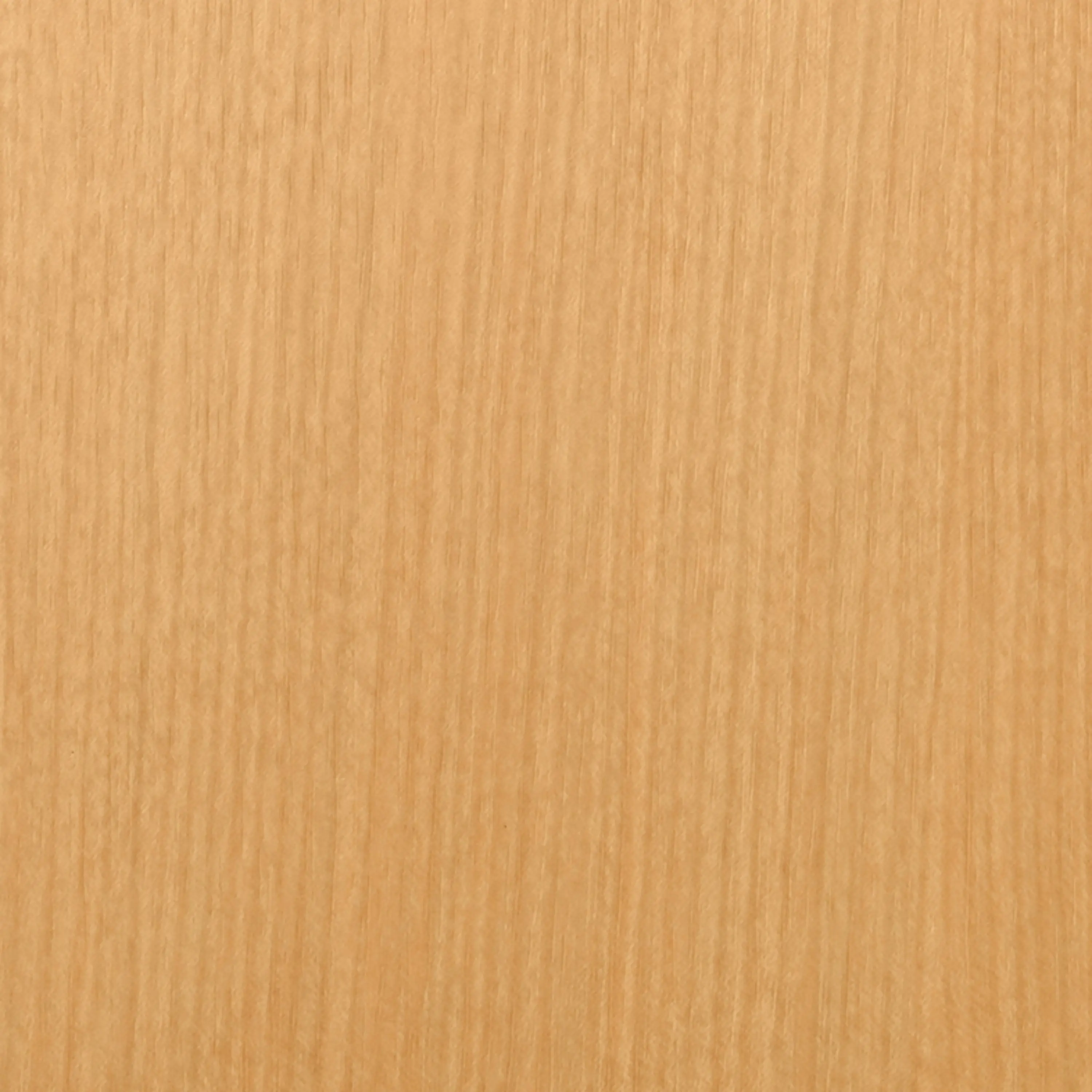 gallery-slide-0