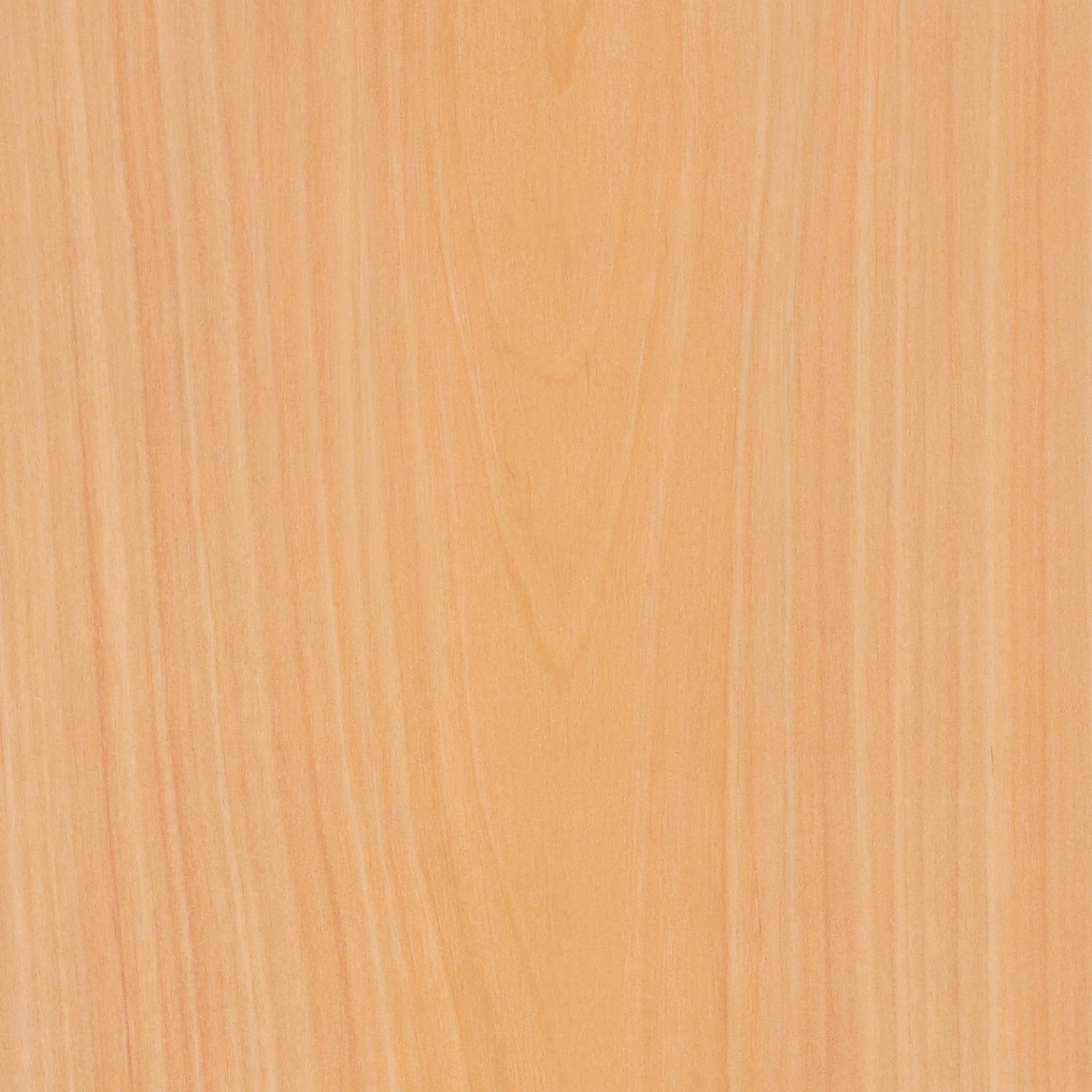 gallery-slide-0