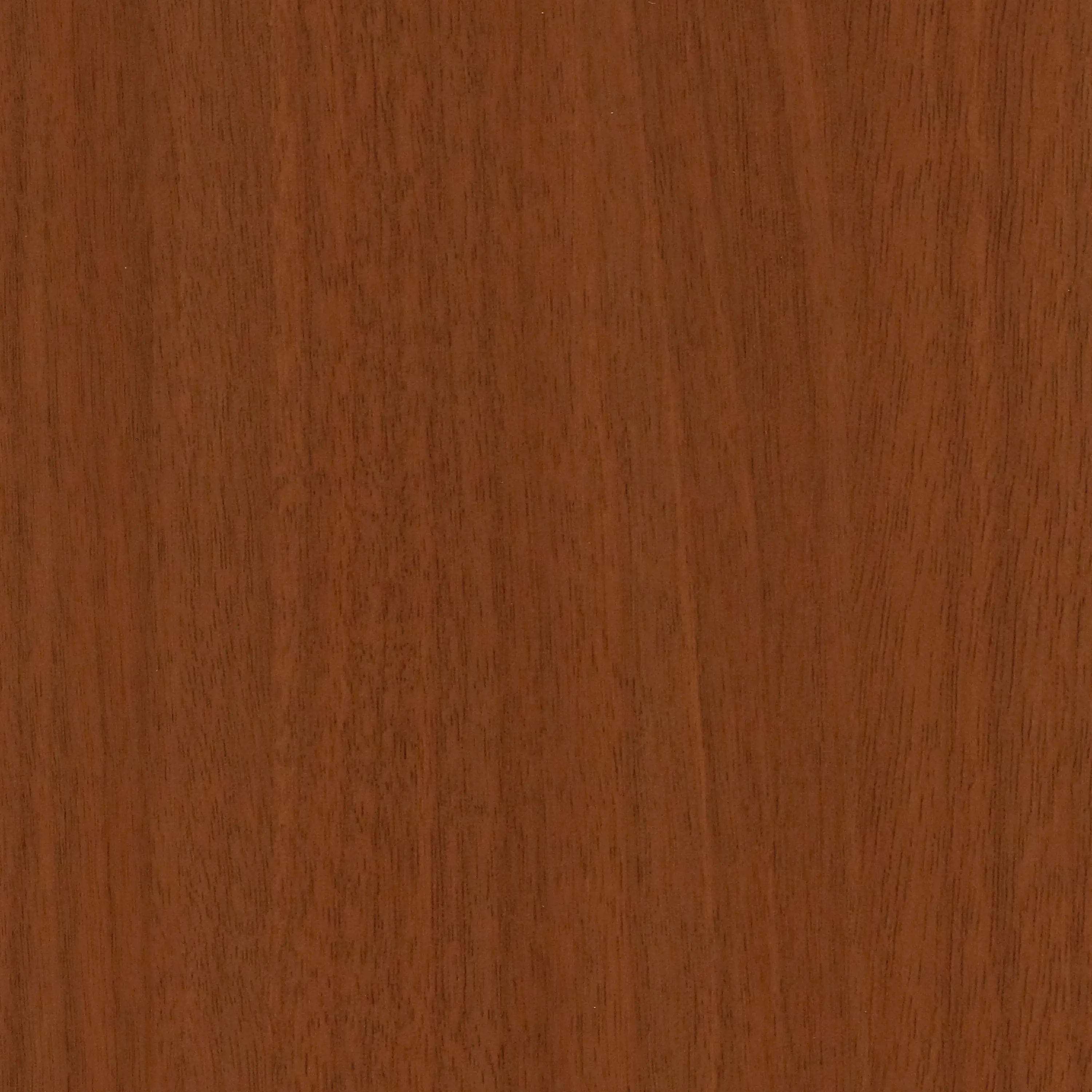 gallery-slide-0