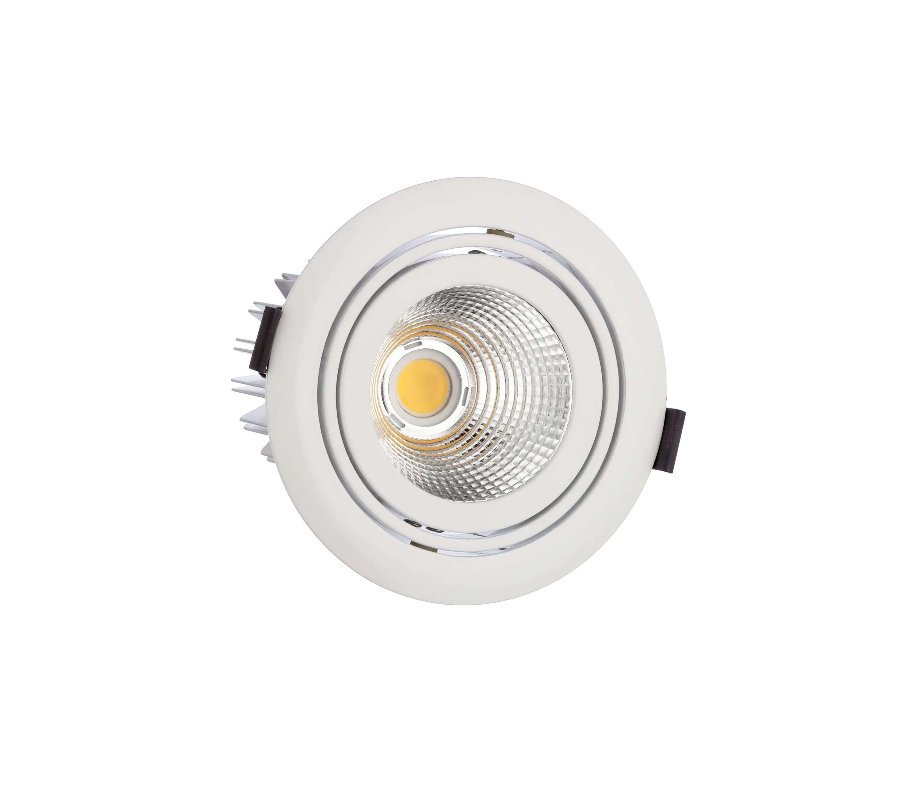 UNEX - Ridl 25W-2 Built-in lamp