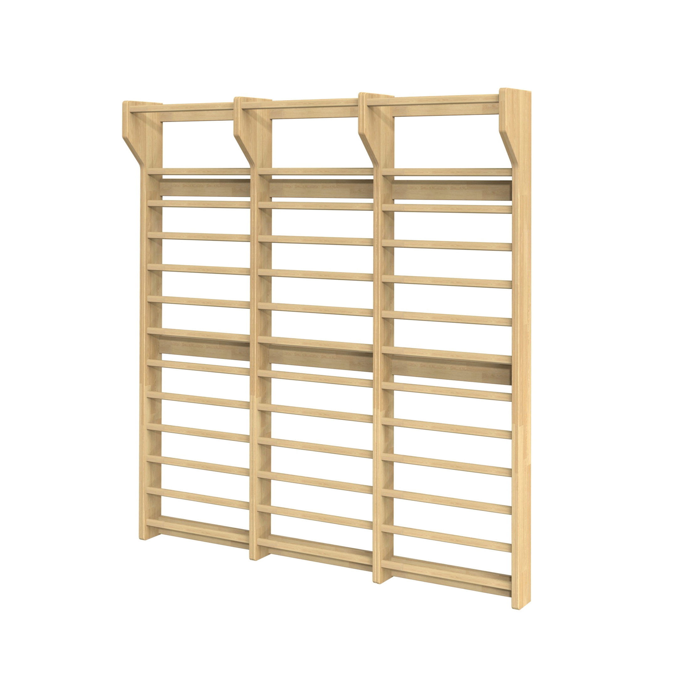 Gymnastic wall P231 | P232