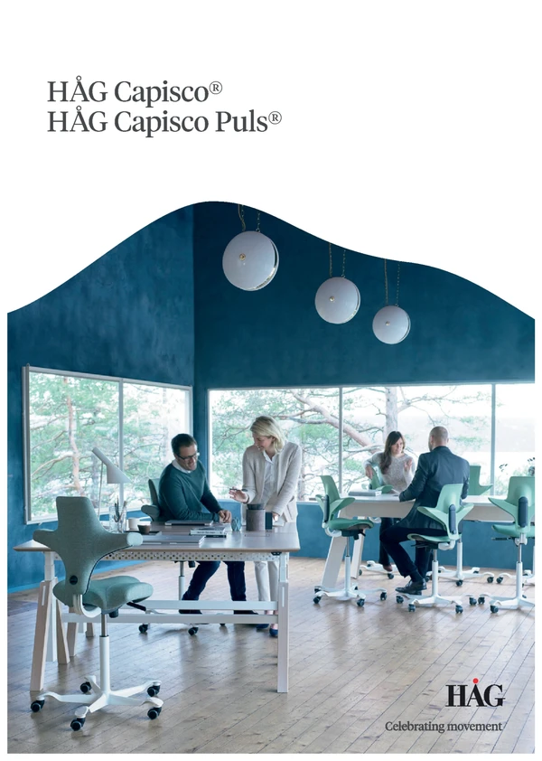 Vorschaubild für die Datei HÅG Capisco business