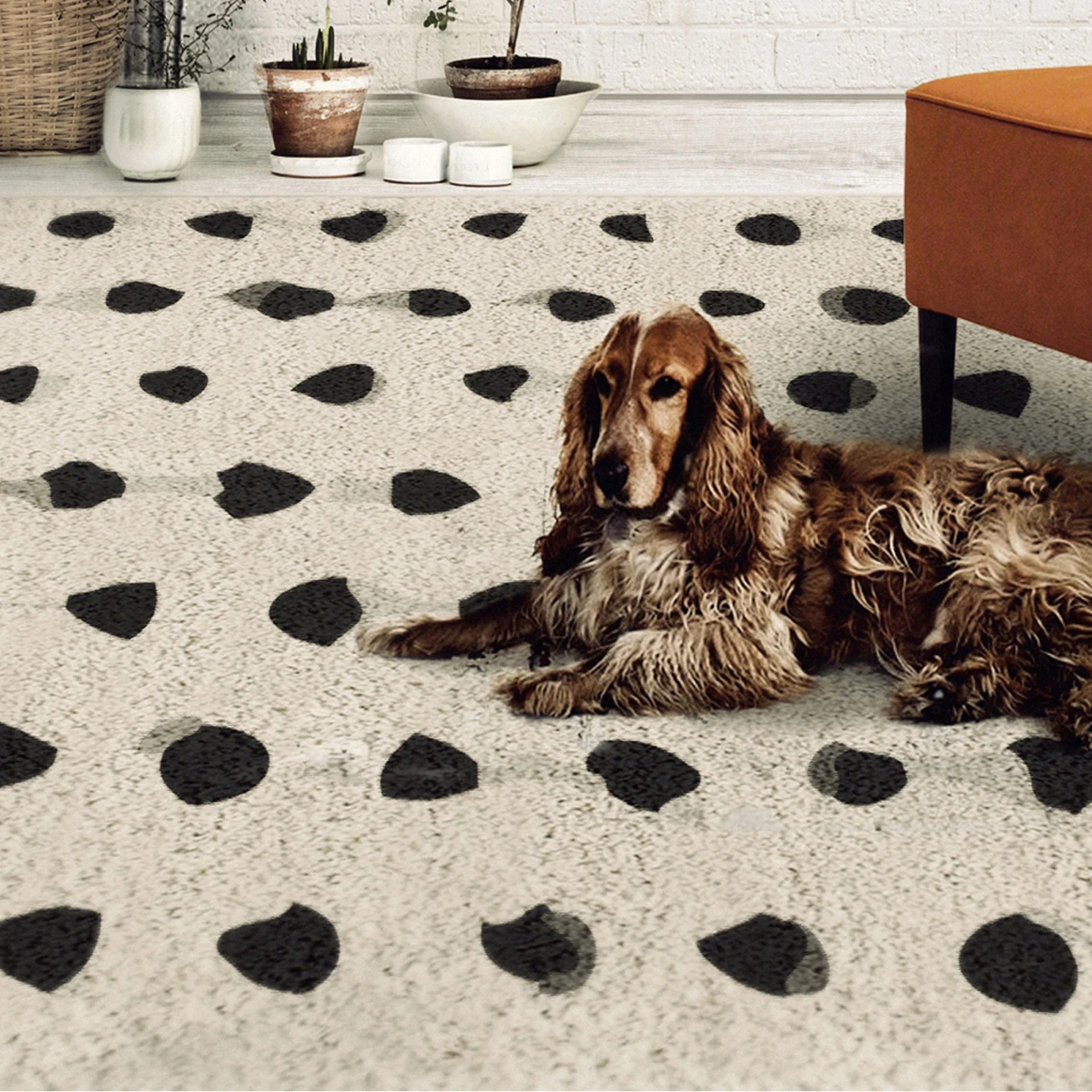 RUGS
