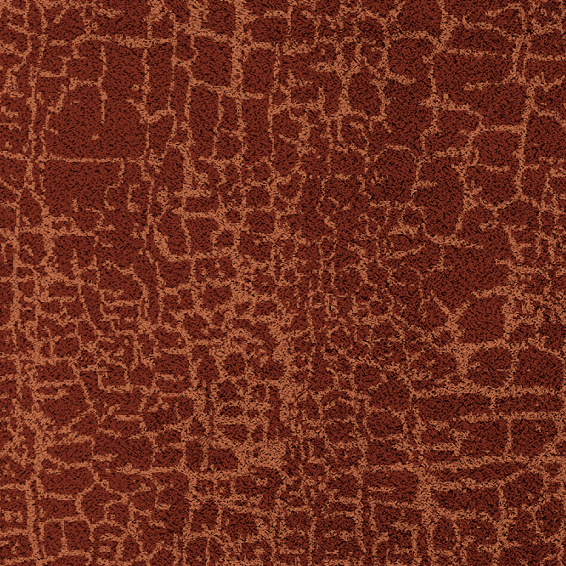 Afficher le produit Himba | Rug du fabricant BRABBU