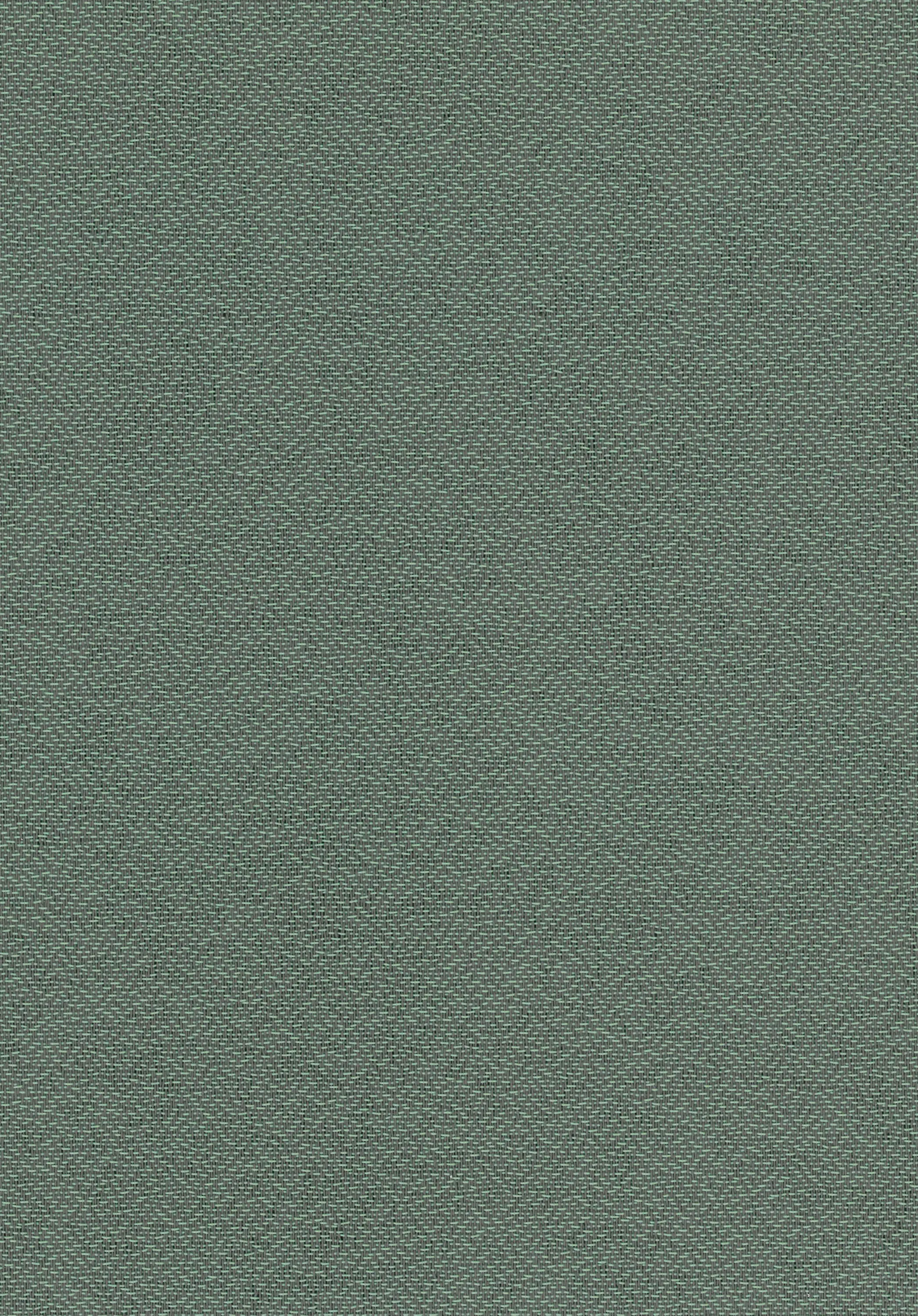 Vertisol - Memphis Matcha