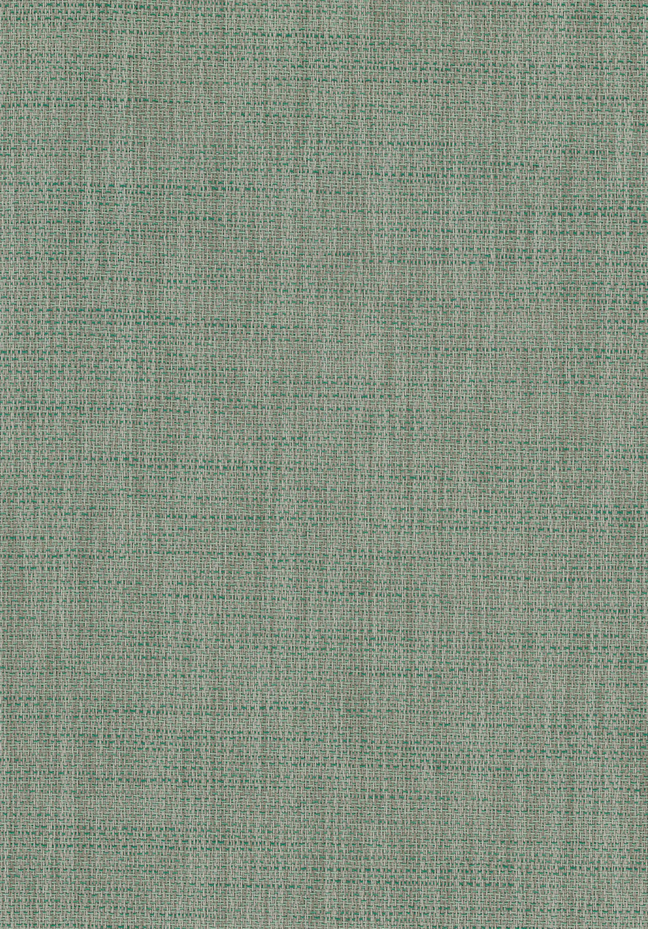 Vertisol - Memphis Moss