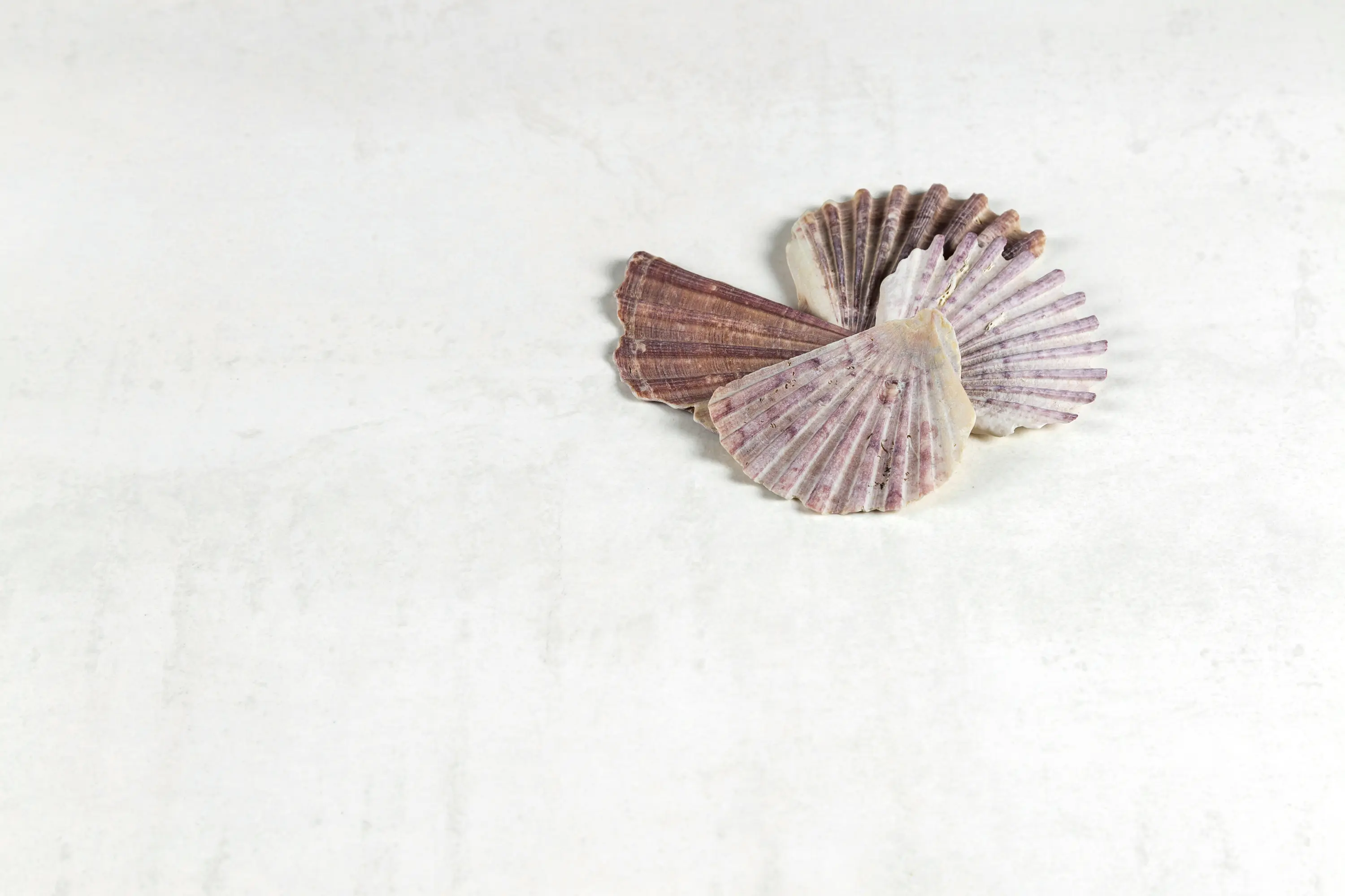 Neolith - Iron | Iron Copper