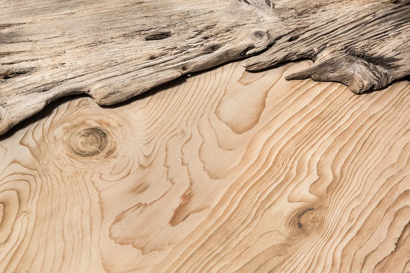 Neolith - Timber |Timber Ice