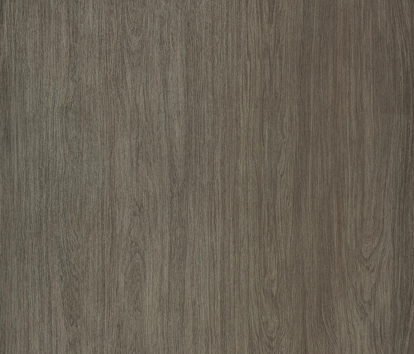 Neolith - Interior | Timber Oak