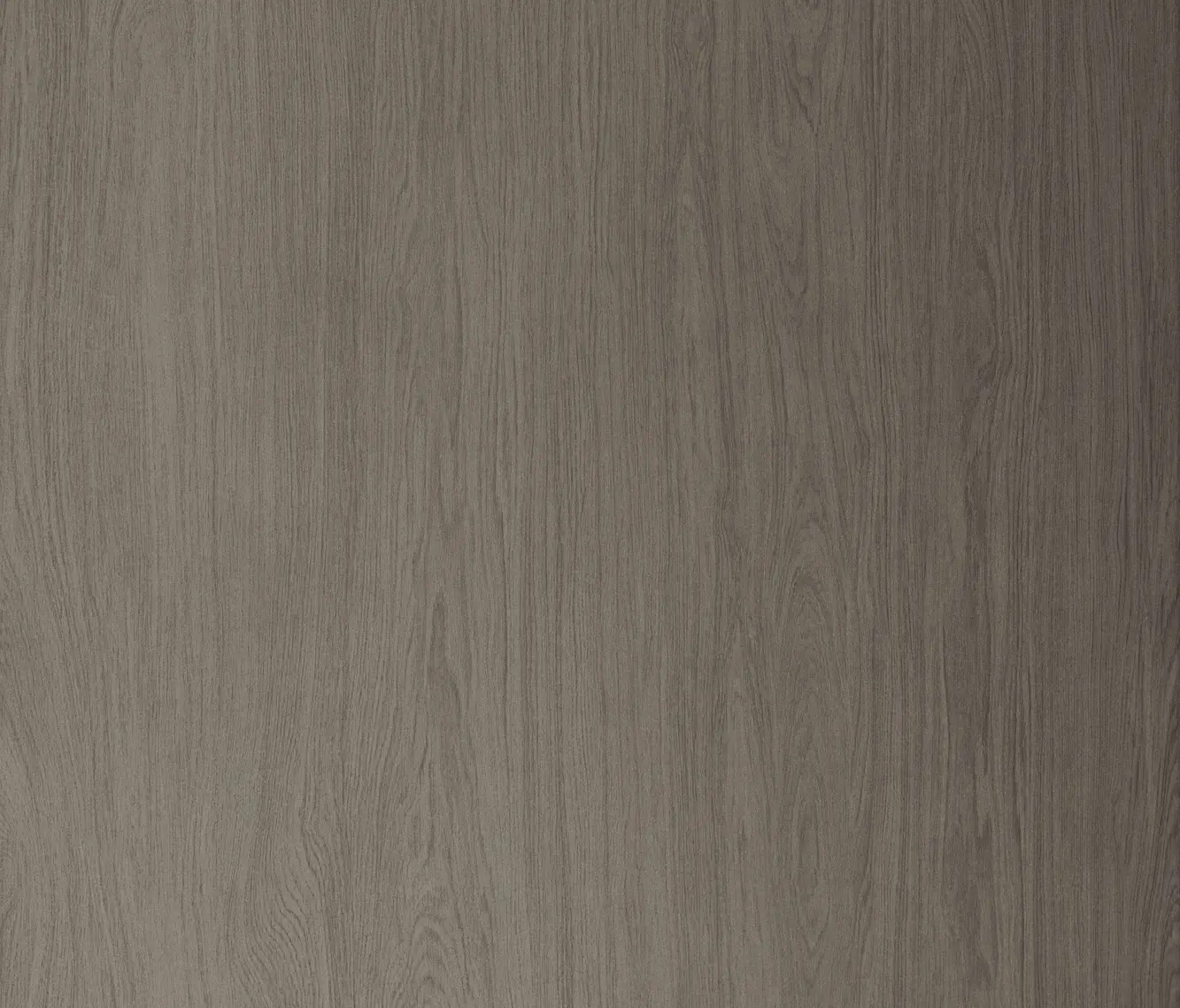 Neolith - Timber | Timber Ash