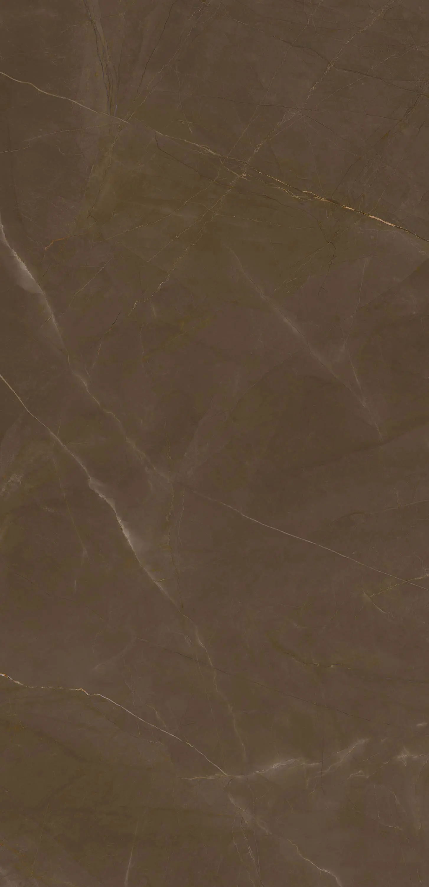 Neolith - Classtone | Pulpis