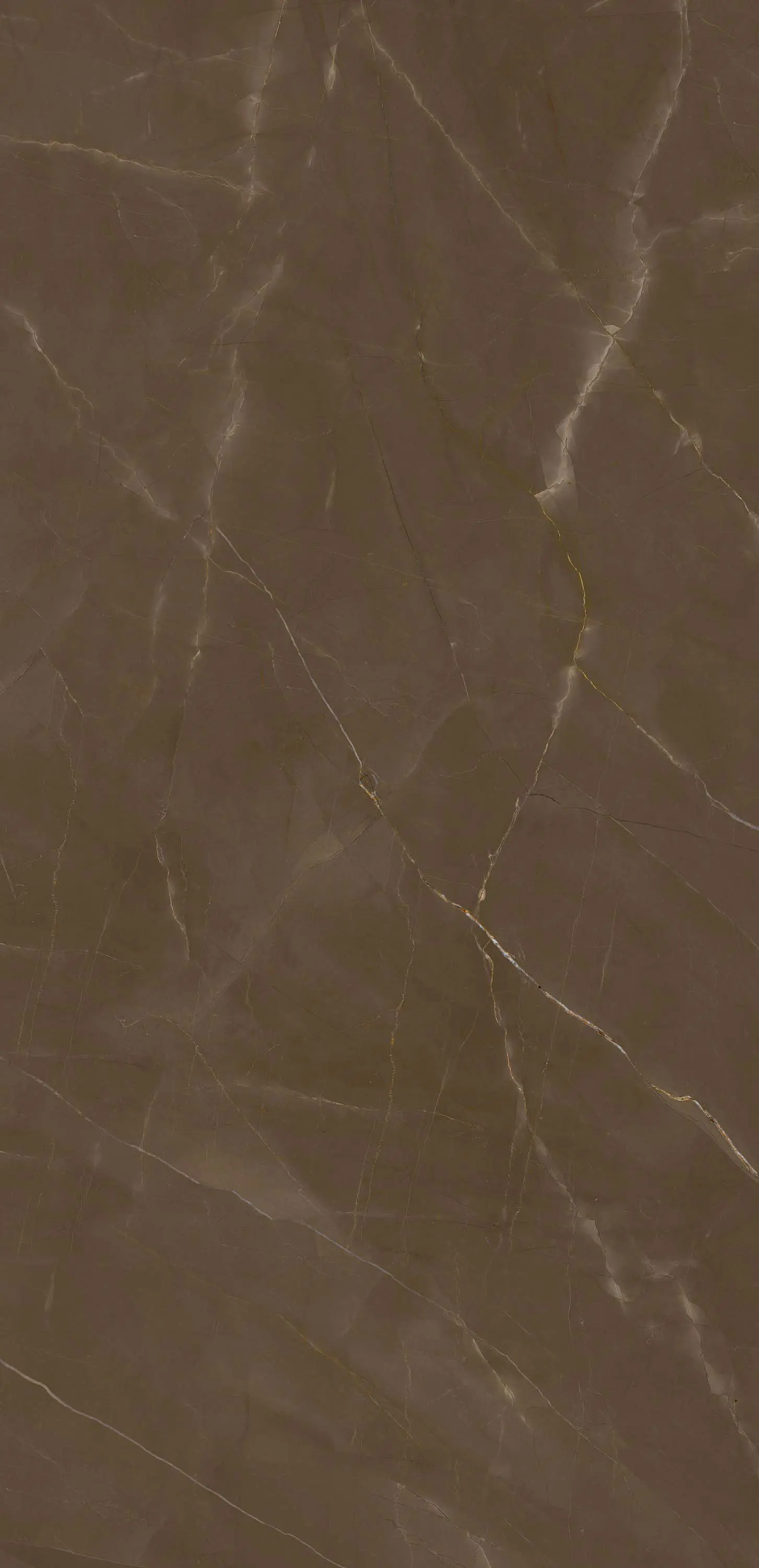 Neolith - Classtone | Pulpis