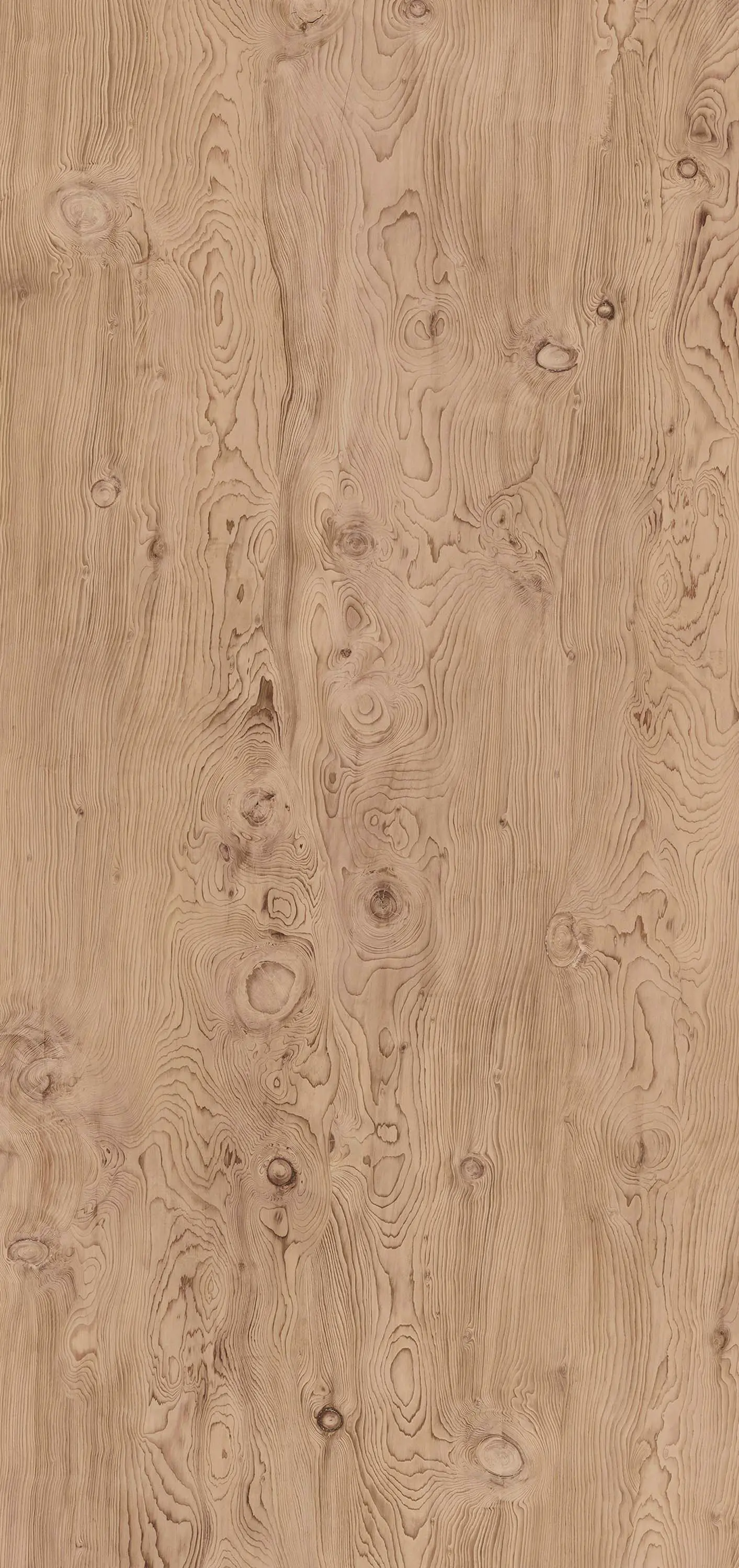 Neolith - Timber | La Bohème B01