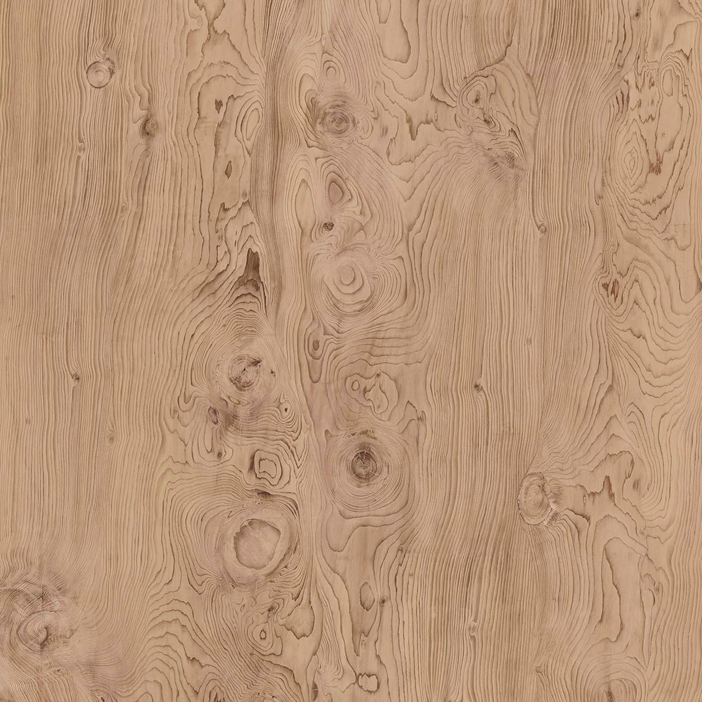 Mostrar el producto Timber | La Bohème B01 del fabricante Neolith