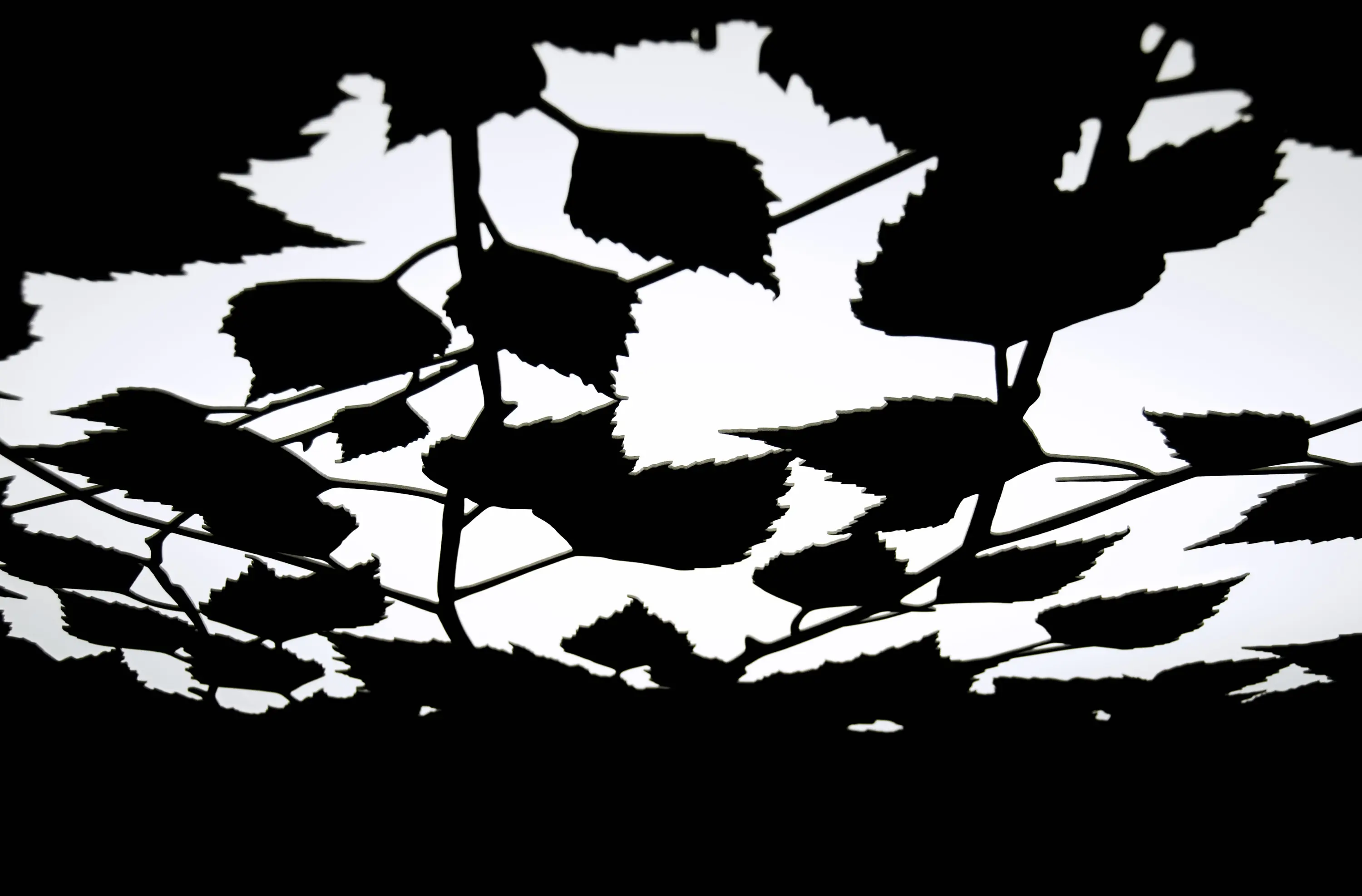 Blond Belysning - Glänta Mini ceiling