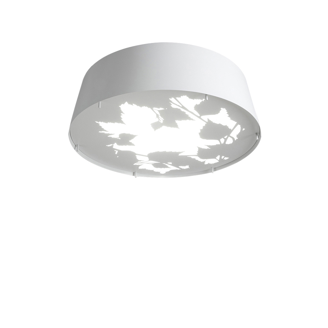 Display product Glänta Mini ceiling from manufacturer Blond Belysning