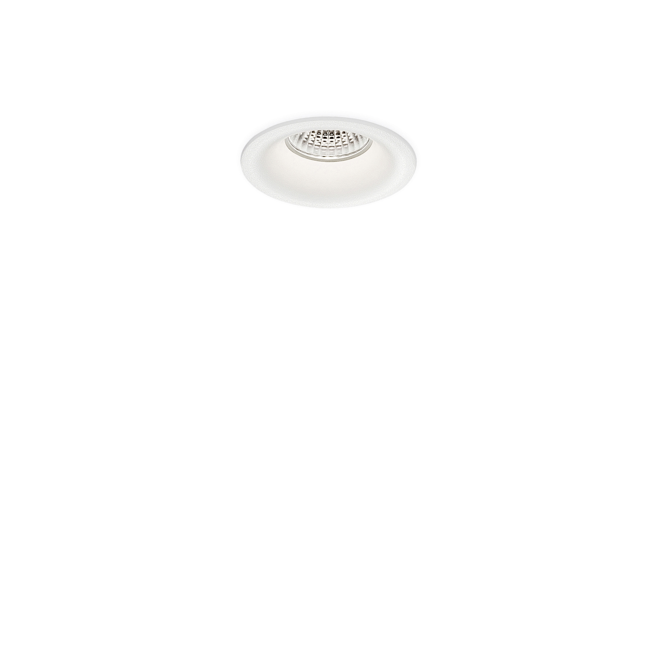 Drop Micro Trans | wt