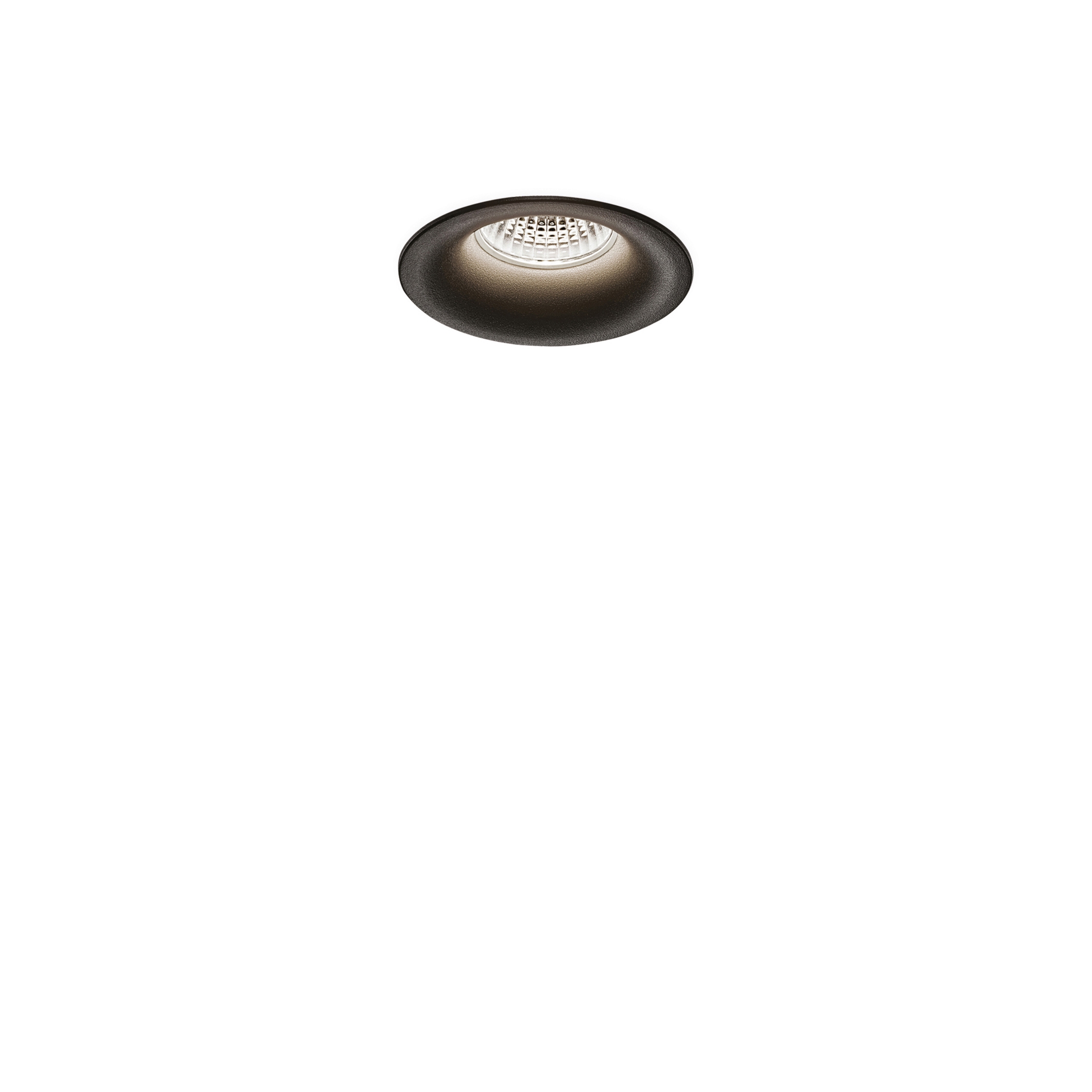 Drop Micro Trans | nt
