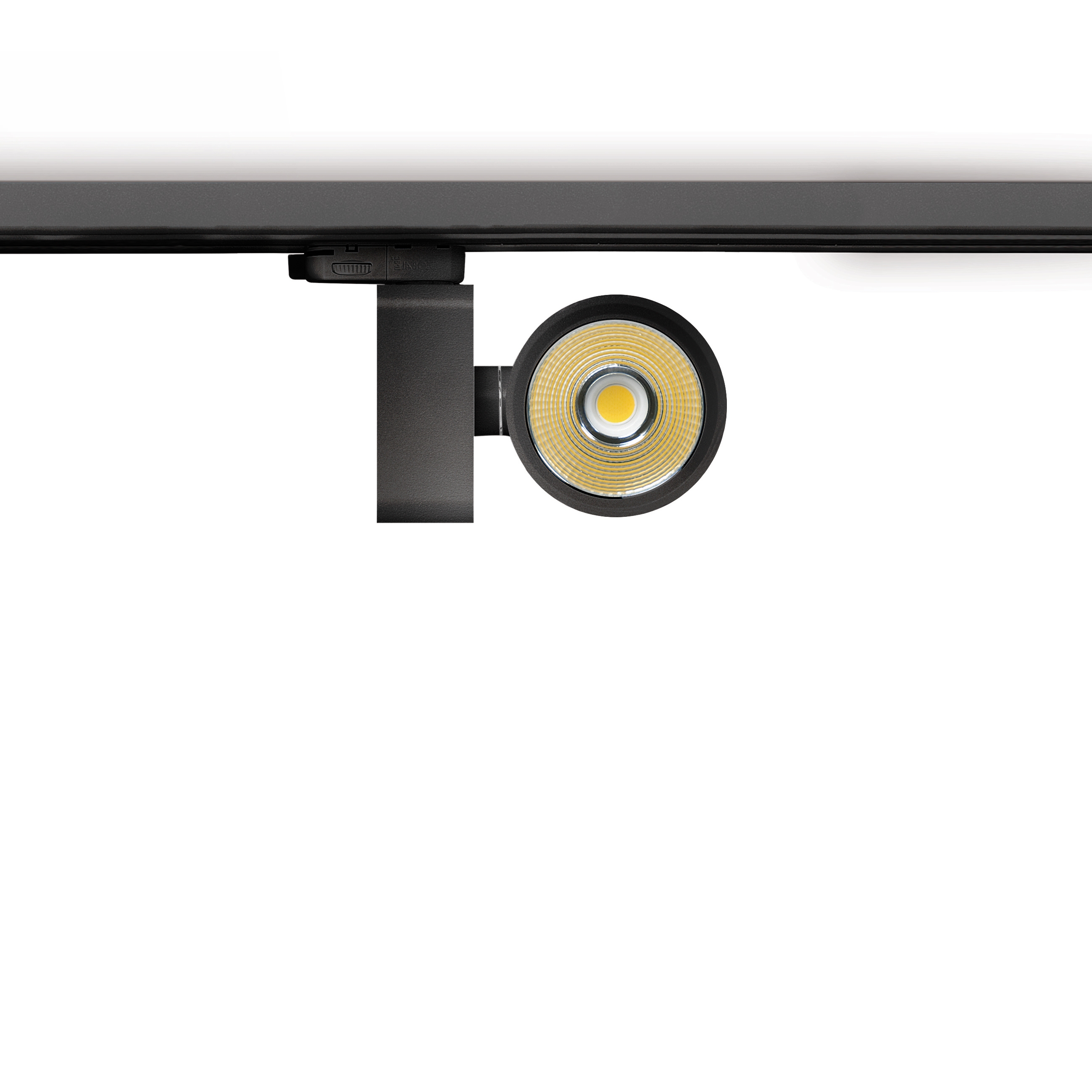 Zen LED | nt