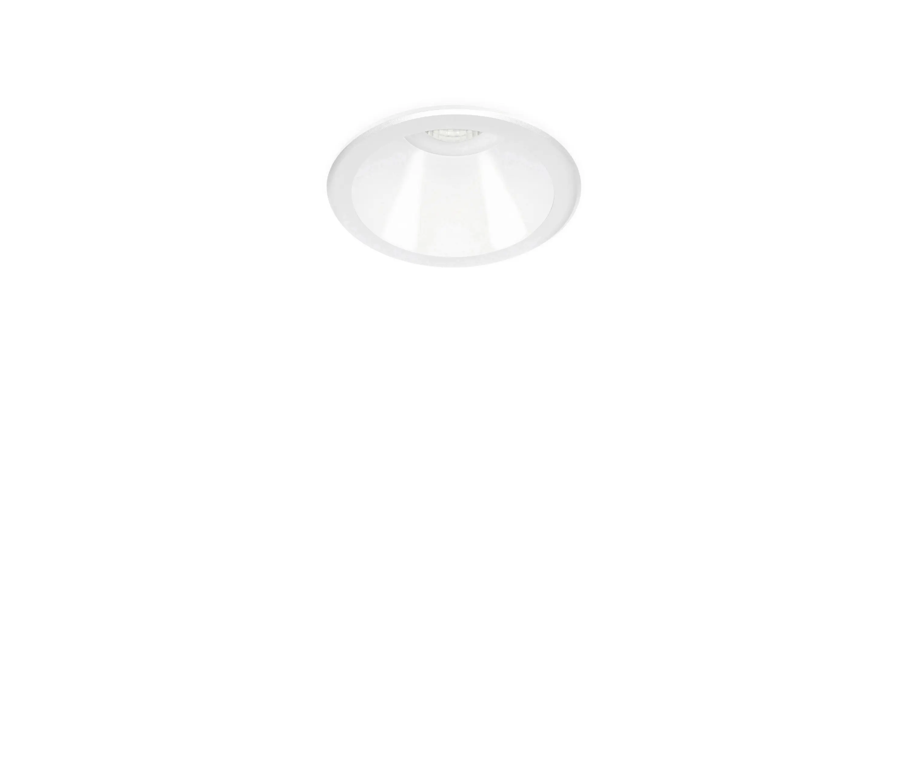 ARKOSLIGHT - Shot Light | w
