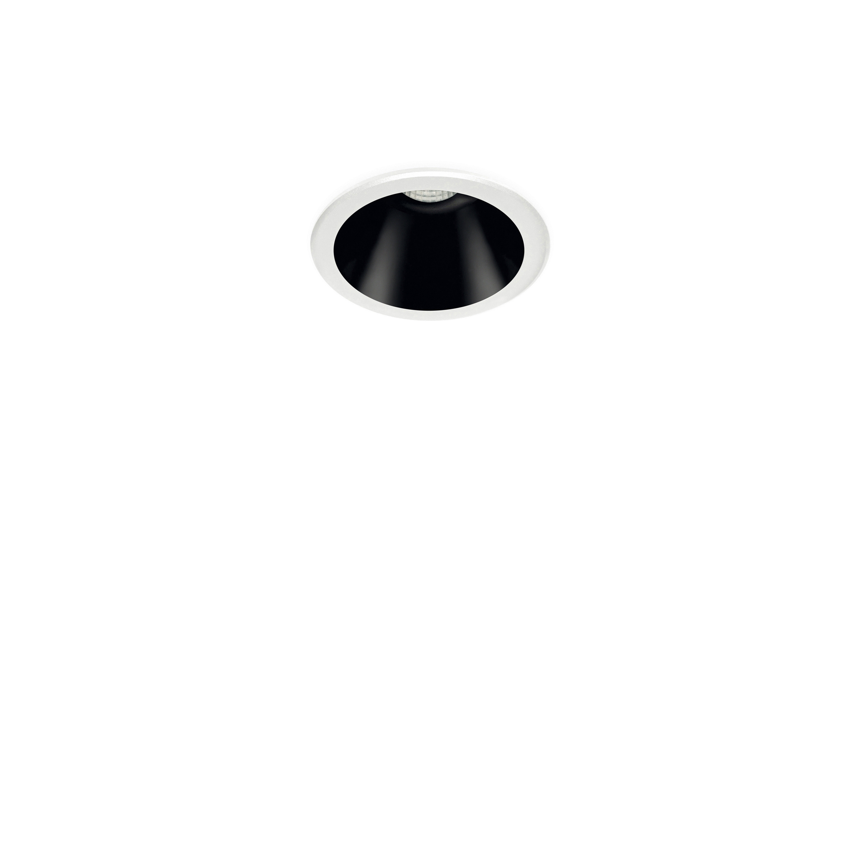 Shot Light | wn