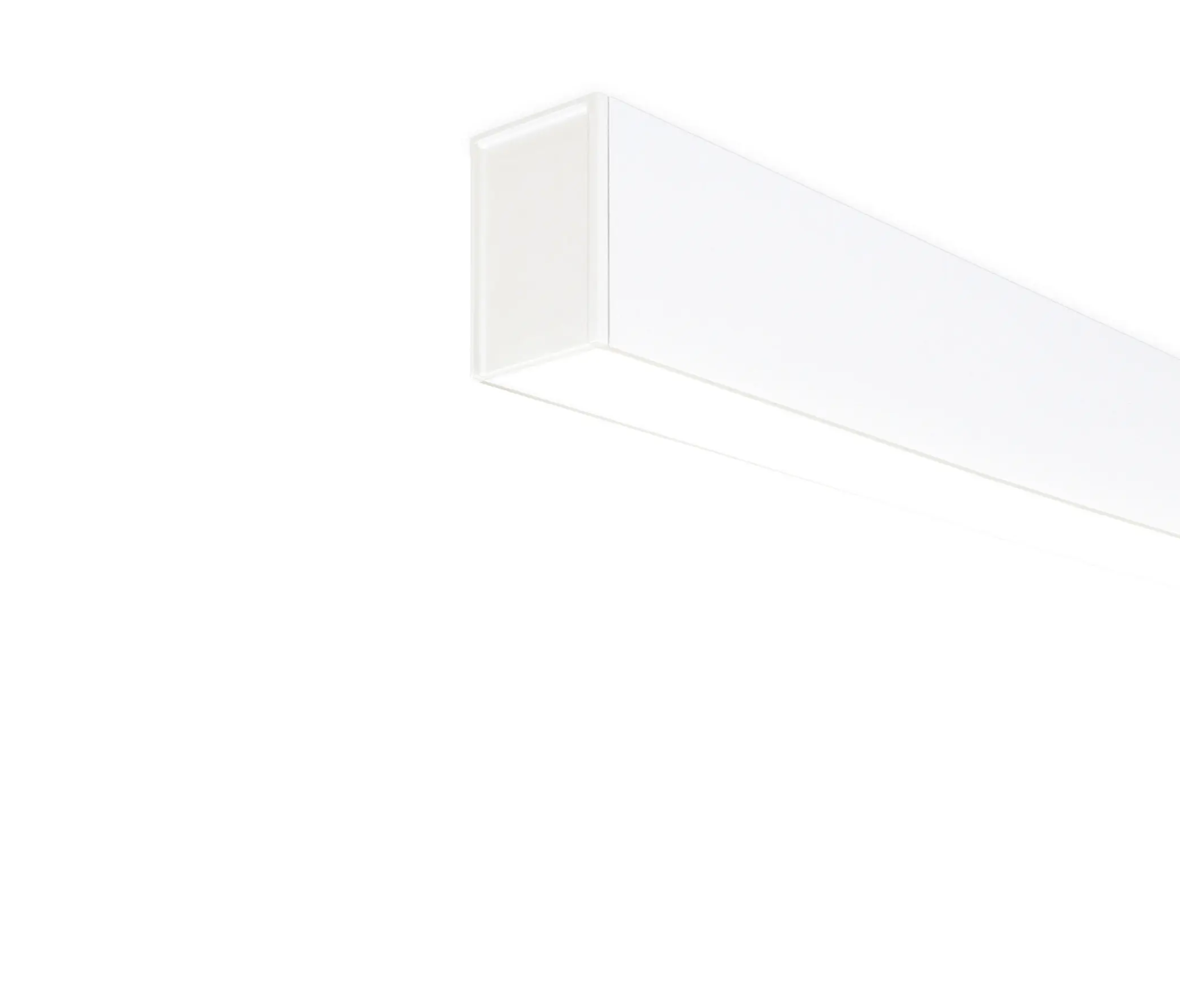 ARKOSLIGHT - Fifty Surface Custom | wt