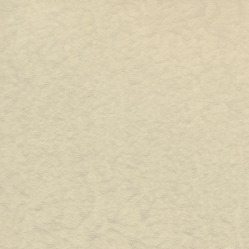 Felt Carta