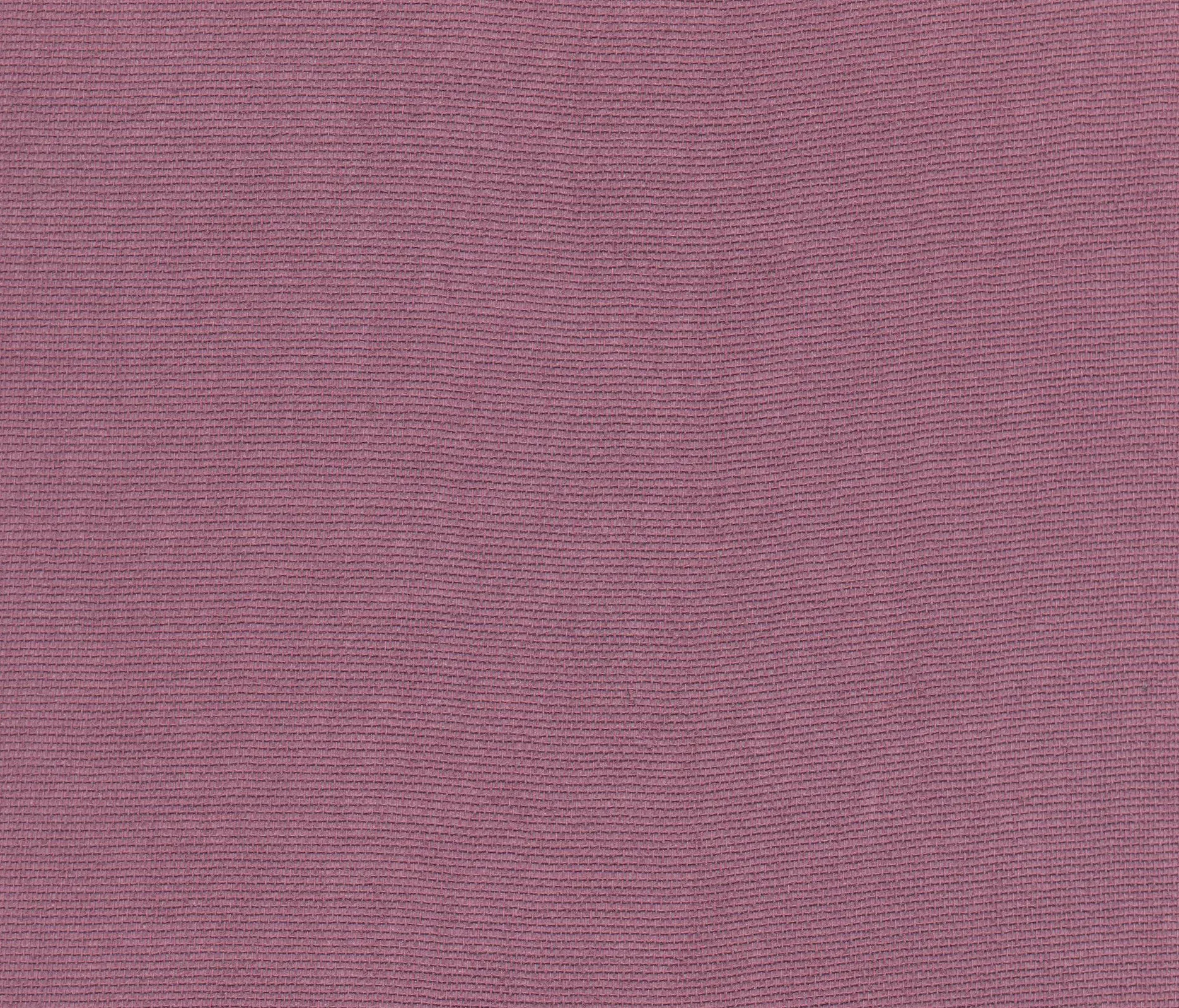 Agena - Calmapiatta
