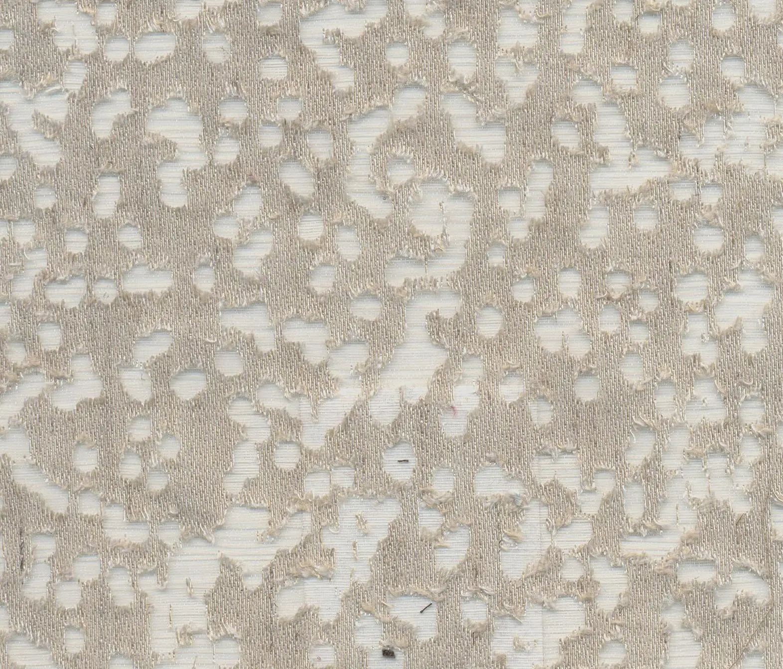 Agena - Cosmo 25