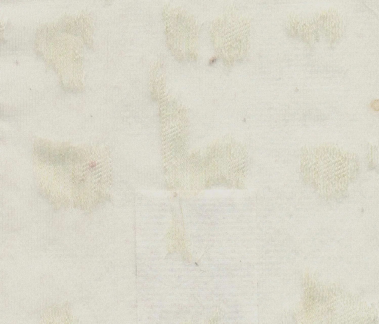 Agena - Nuvole 15