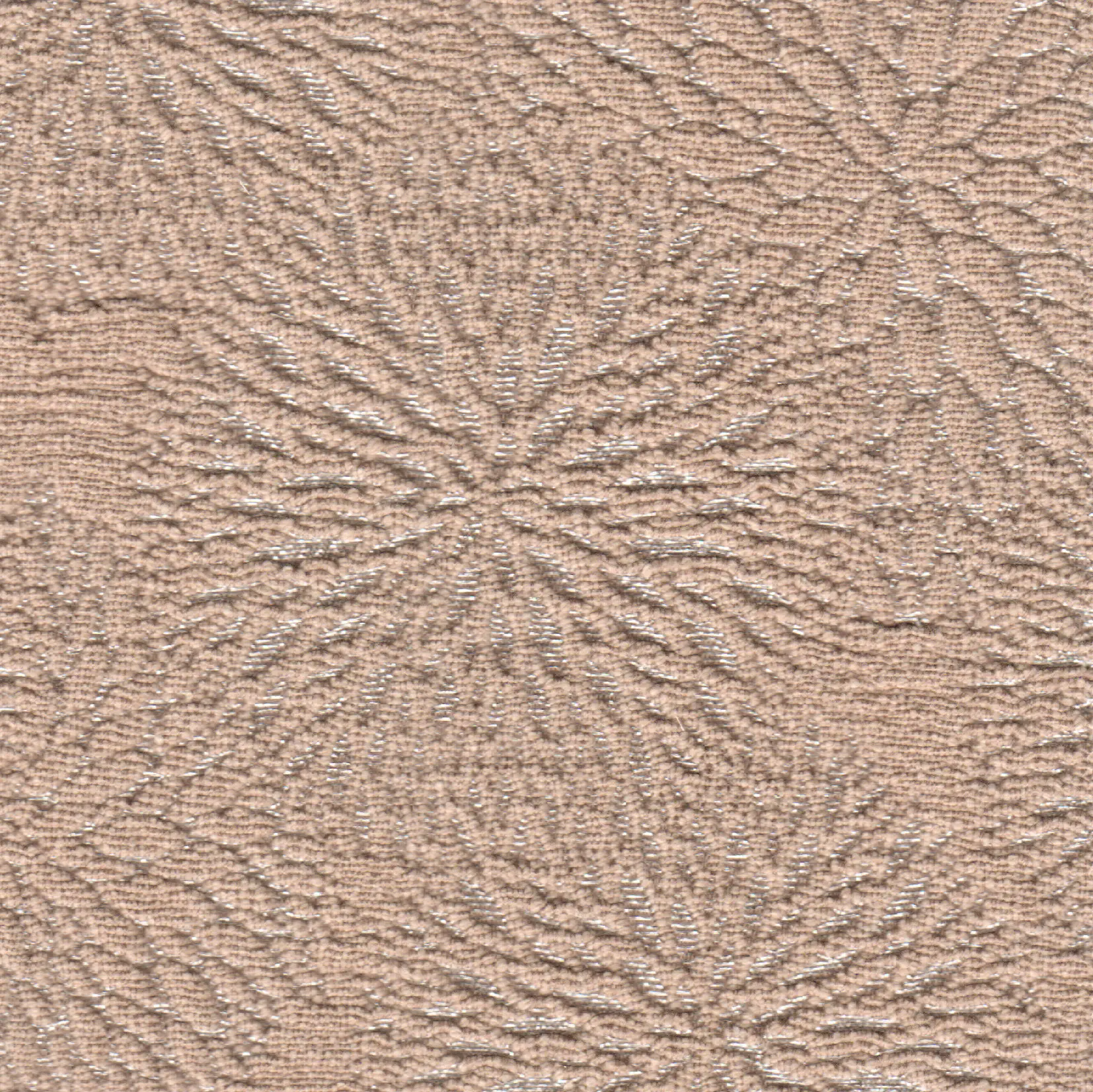 Agena - Dalie
