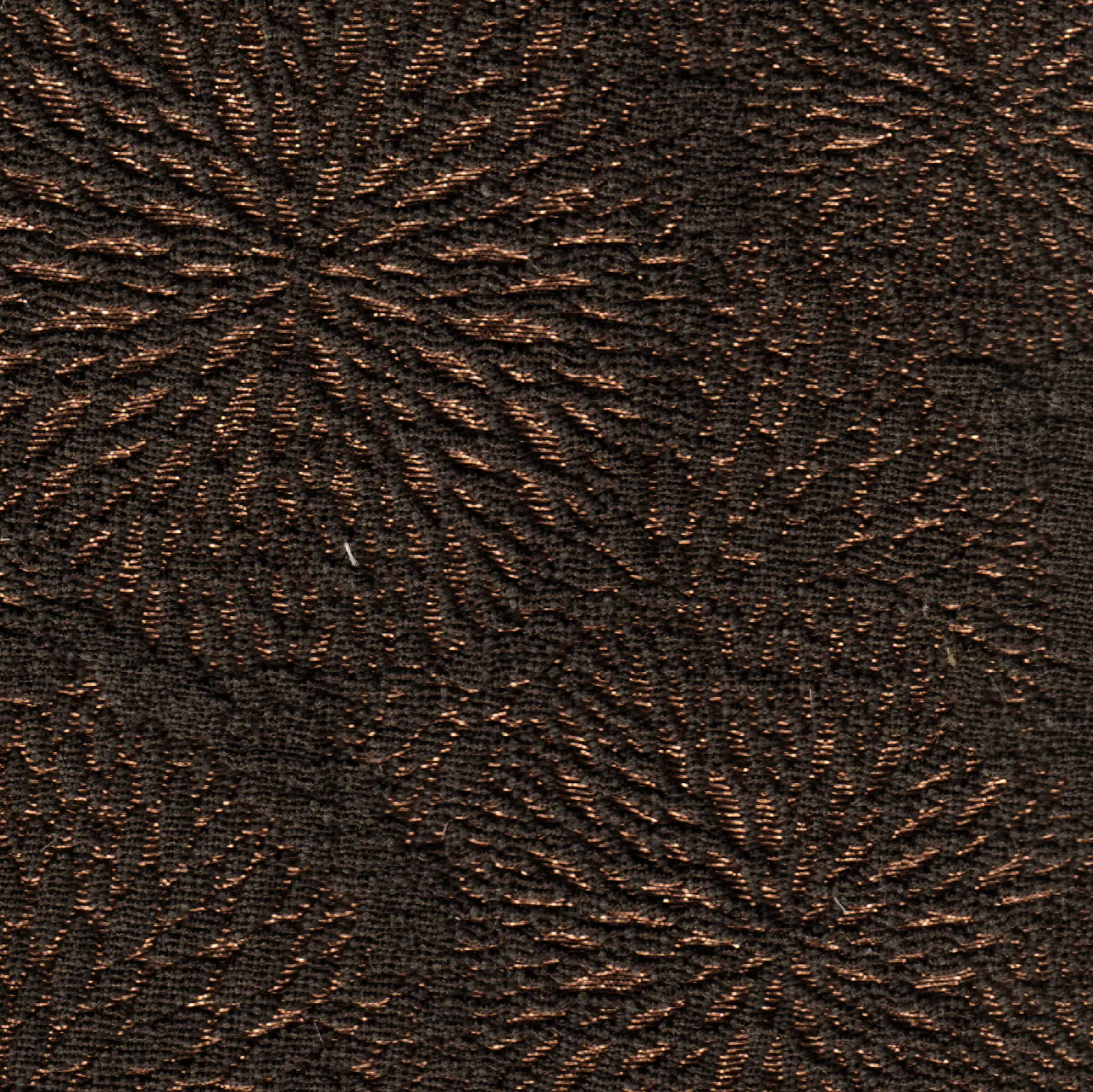 Agena - Dalie