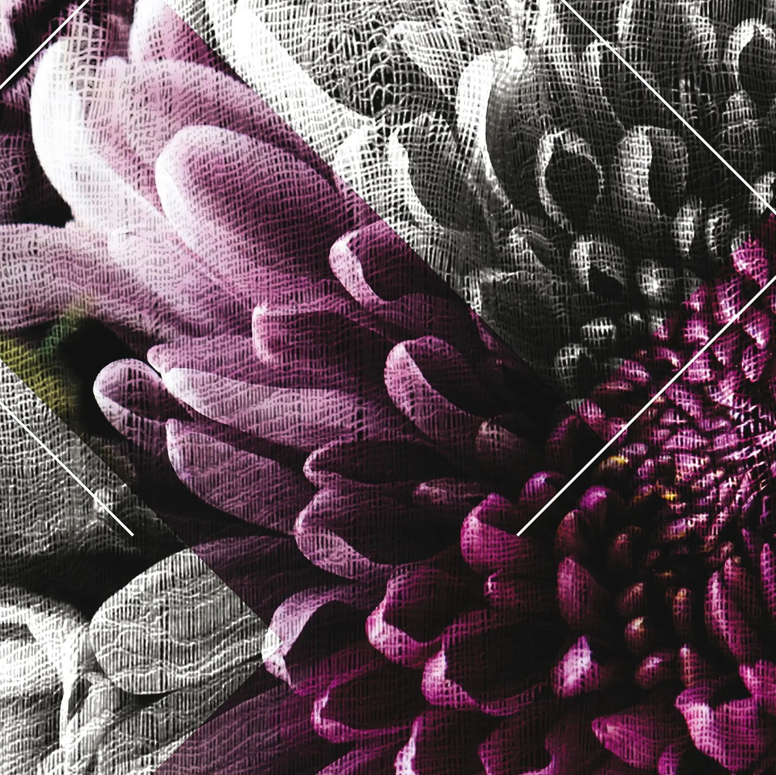 Agena - Romantic