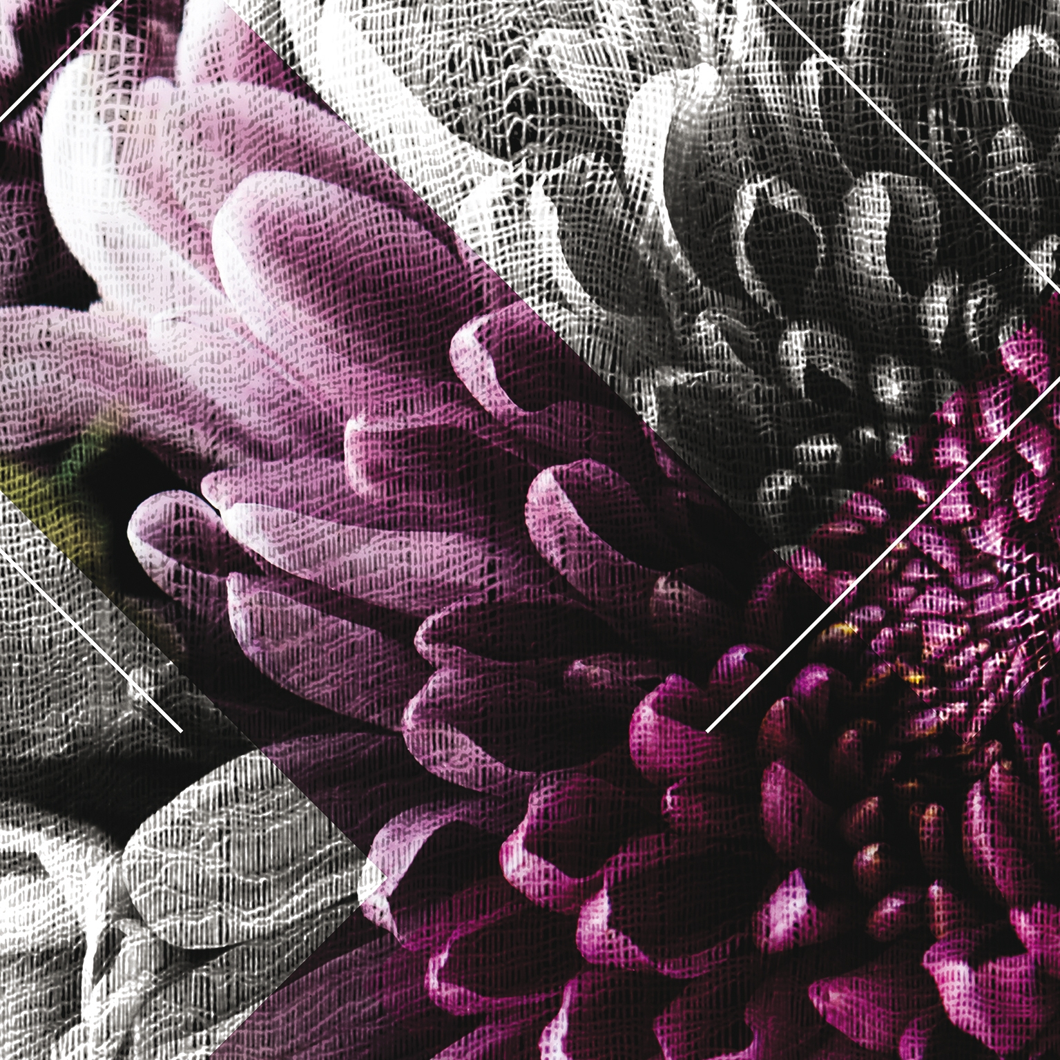 Mostra il prodotto Romantic del produttore Agena